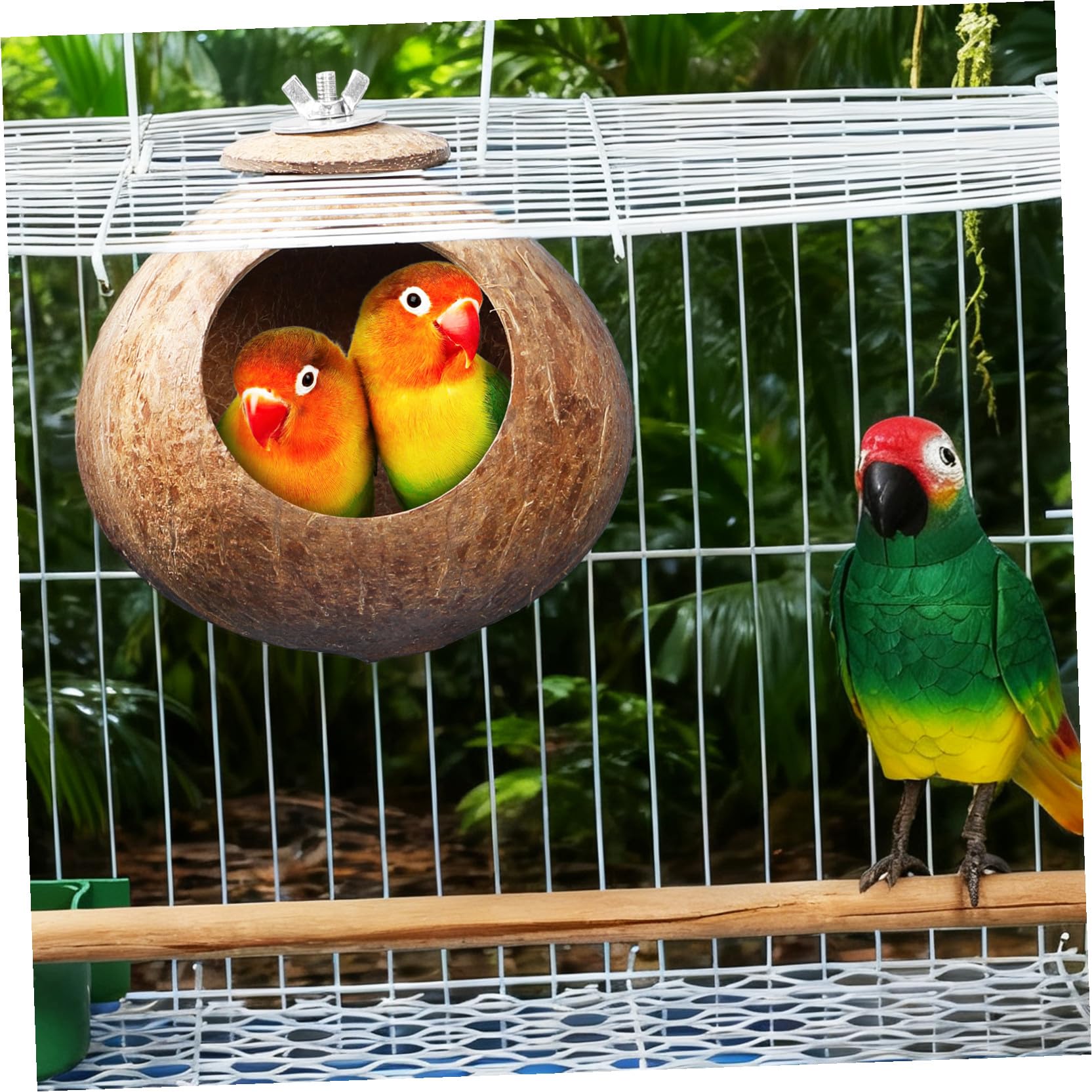 balacoo Vogelhaus aus Kokosnussschalen, natürliche Kokosnuss-Schale, Vogelkäfig für Wellensittiche, Papageien, Haustiere