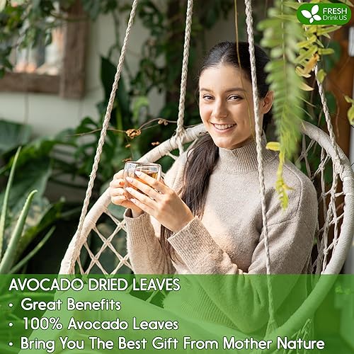 Vista 208 de FreshDrinkUS, 105 bolsas de té de hoja de laurel premium, 100% natural y puro de hojas de laurel. Té de hierbas de laurel de hojas sueltas.