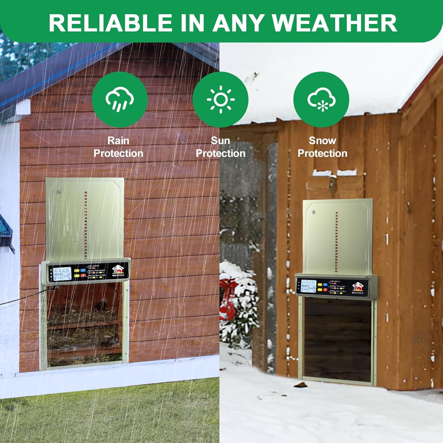 Image showing the chicken coop door operating reliably in rain, sun, and snow conditions.