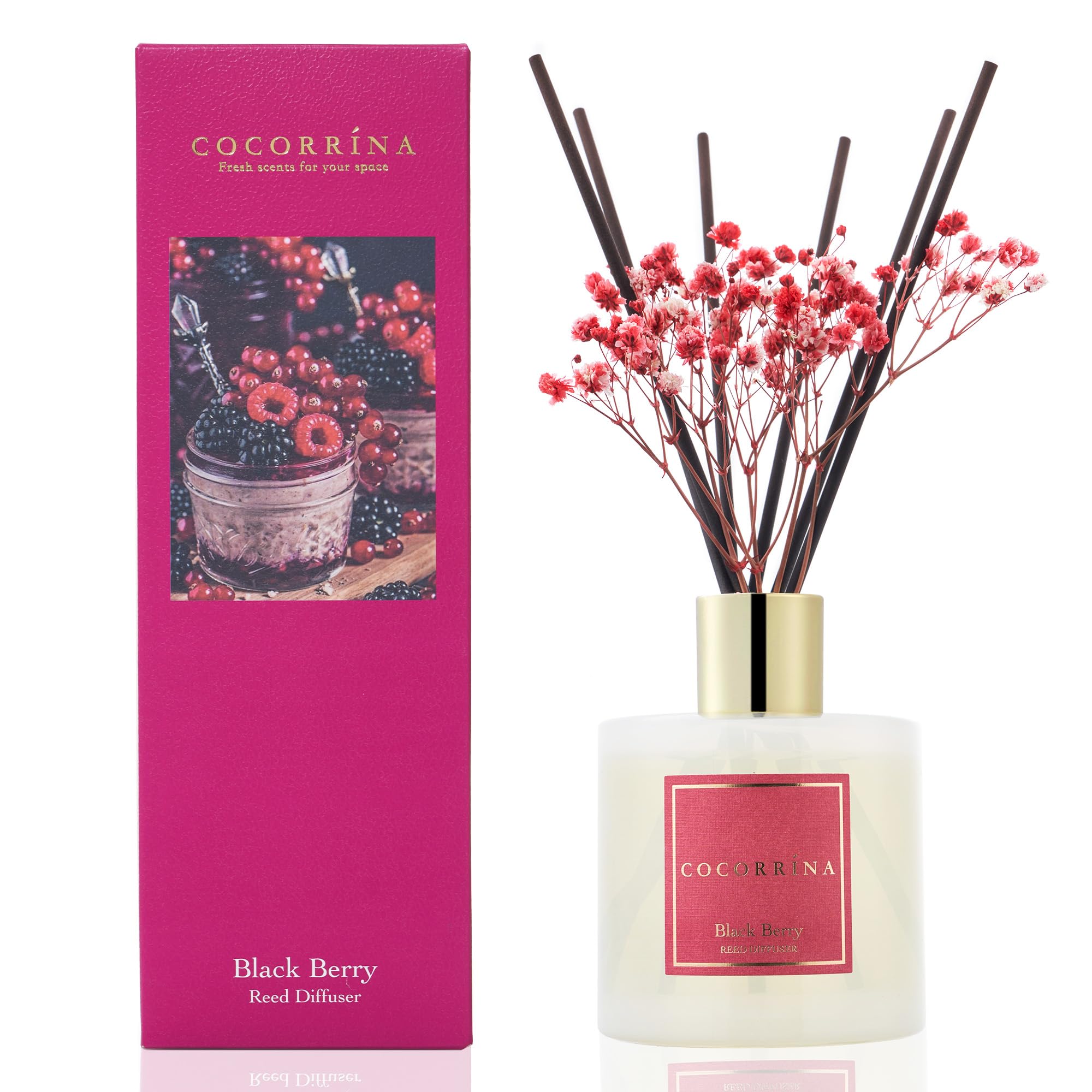 Cocorrína Black Berry Reed Diffuser Sets - 200Ml Diffuser With 8 Sticks Home Fragrance For Bedroom Bathroom Living Room, Home & Office Decor
