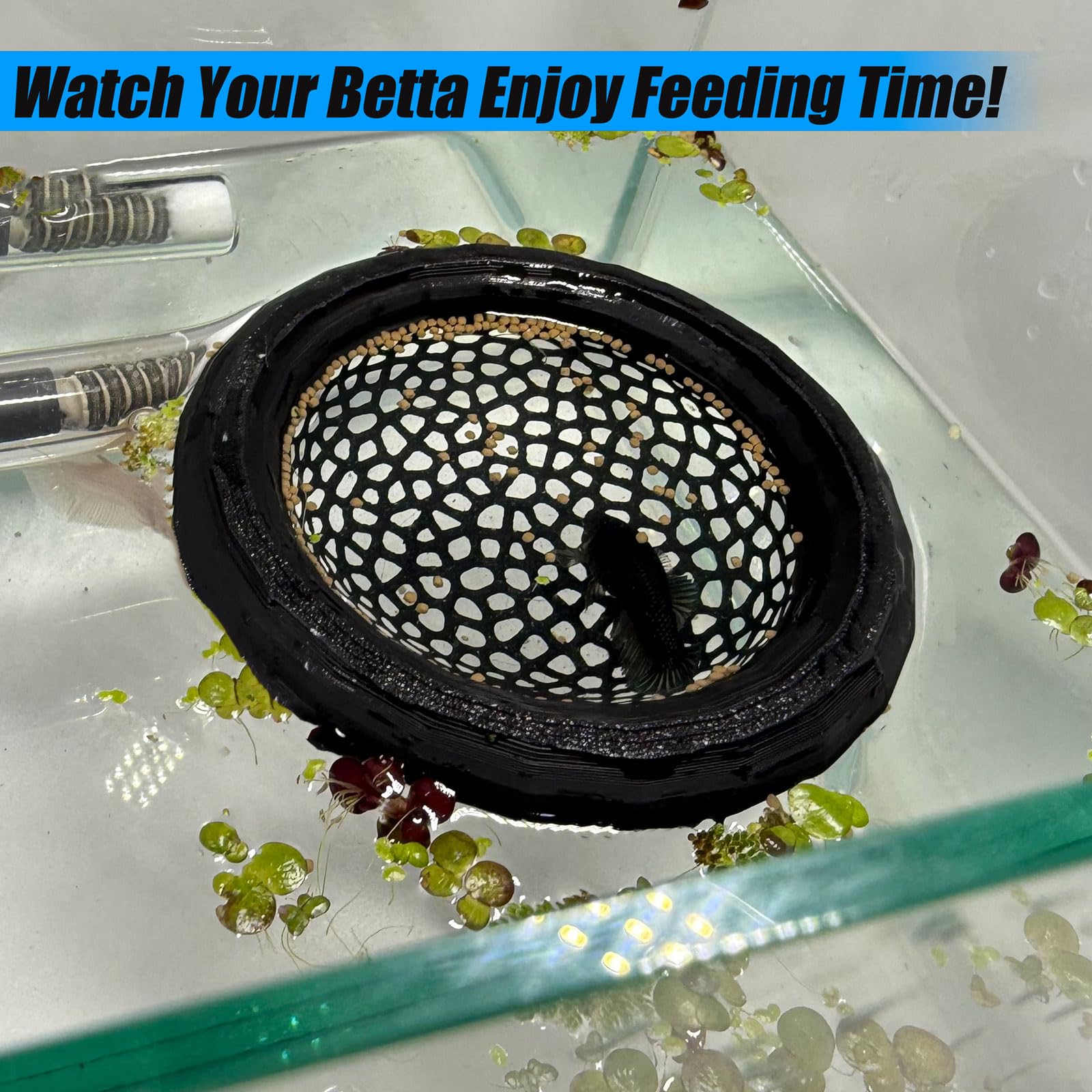 Aquarium Floating Betta Fish Skins, Betta or Shrimp Feeder, Cave and Hammock, Small Fish Feeding Rings, Aquarium Hiding Feeding Decorative Accessories (Black)