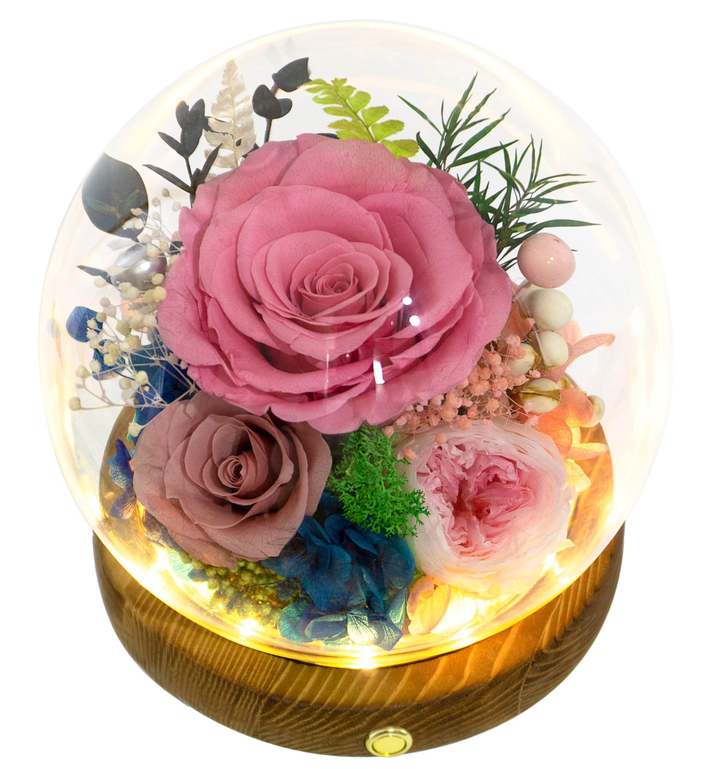 Rose douce et cappuccino en véritables fleurs durables de haute qualité