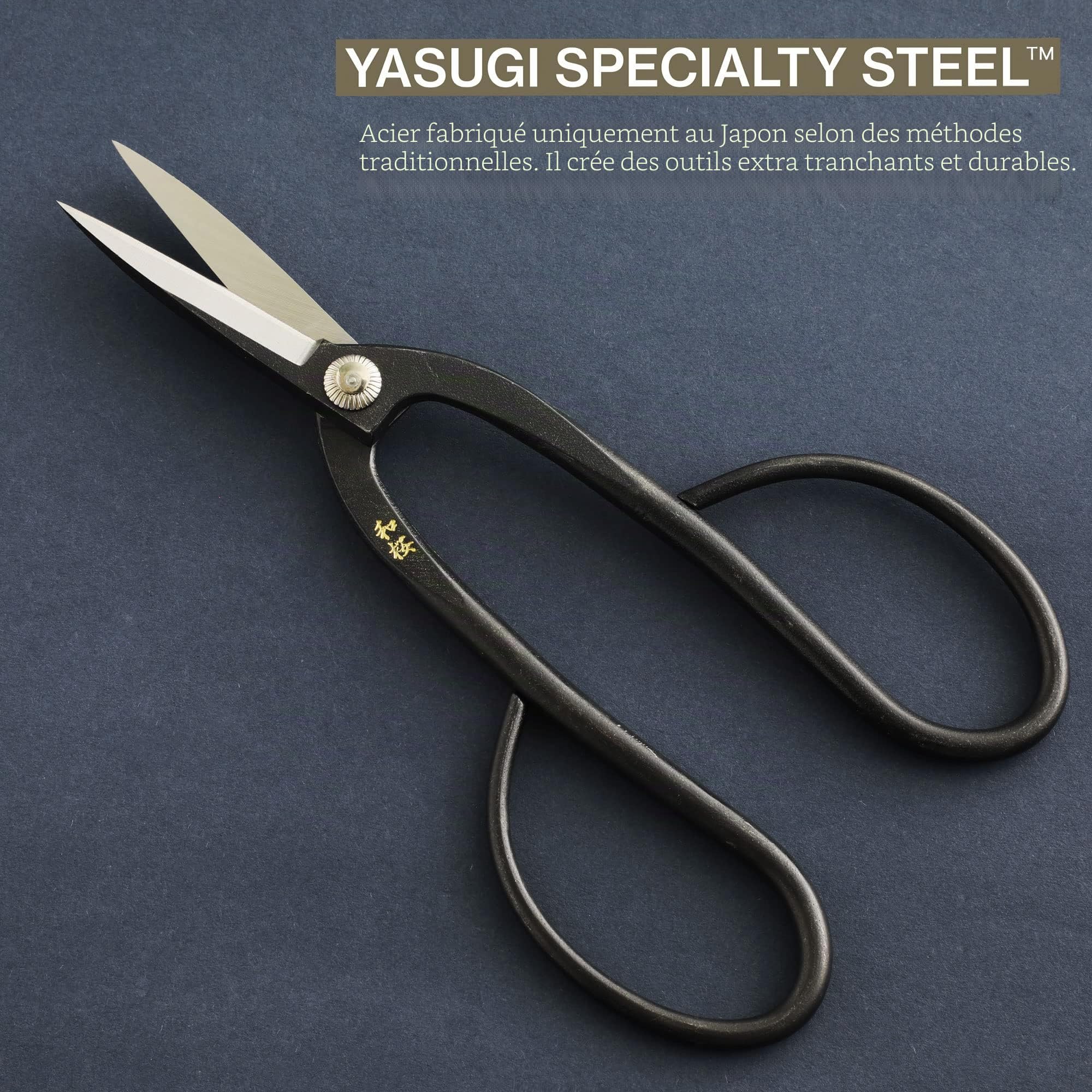 Wazakura Kit 4 Outils, Set Essentiels Entretien Bonsaï Fabriqué au Japon, Ciseaux Ashinaga en Acier Yasugi Japonais 200mm, Coupe Branche, Pince Multifonction en Acier Inoxydable, et Gomme Nettoyante