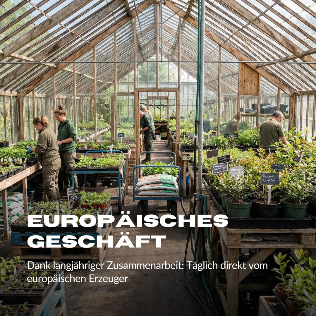 Fresh Plants Erde - Universelle Blumenerde 20L - mit Torf, Kompost, Dnger  und Perlit : Amazon.de: Garten