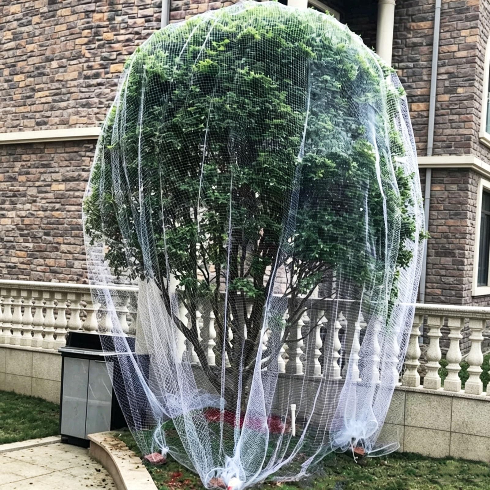 Rete Antiuccelli Rete Antiuccelli per Cespugli di Mirtilli, Rete da Giardino Resistente e Riutilizzabile per Alberi da Frutto e Colture, Barriera Esterna Resistente(23x23ft(7x7m))