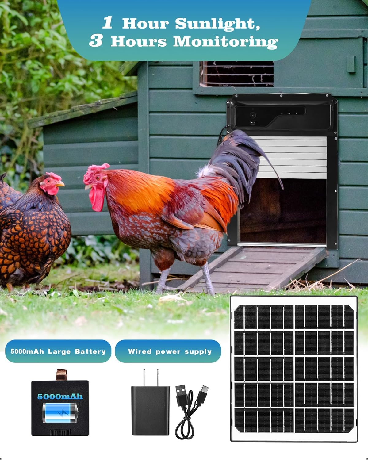 Automatic Chicken Coop Door with HD Camera, Solar Powered, 5000mAh Battery, WiFi App Remote Control & Timer, Night Vision, Anti-Pinch Sensor, Motion Alarm for Poultry Coop (Black)