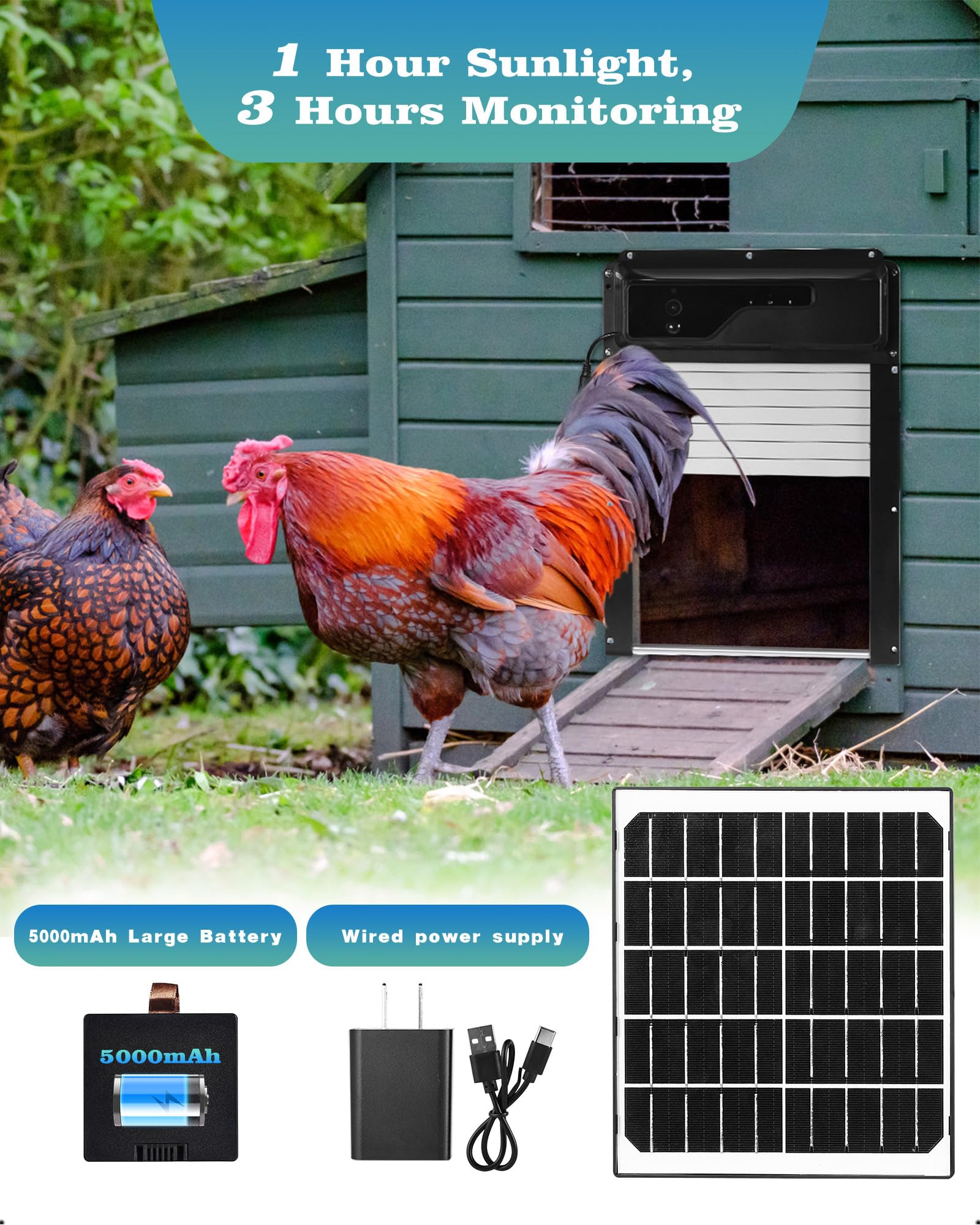 Porta automatica per pollaio con telecamera HD, alimentazione solare, WiFi abilitato, monitoraggio basato su app, telecomando e timer, con sensore anti-trappola e azionamento di allarme