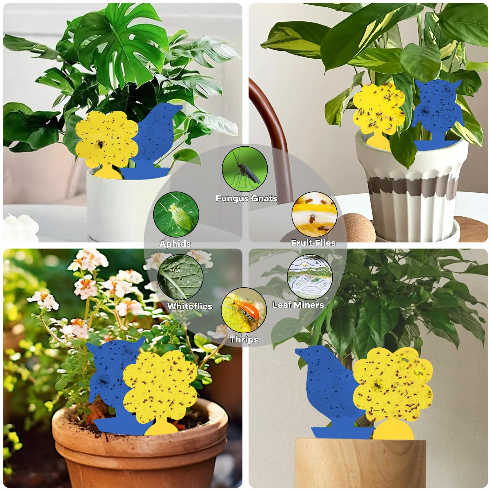 Trampas Adhesivas para Plantas 26 Unidades, Atrapa Moscas de Doble Cara para Interior y Exterior, Potente Control de Plagas No Tóxico para Mosquitos, Moscas de la Fruta y Pulgones
