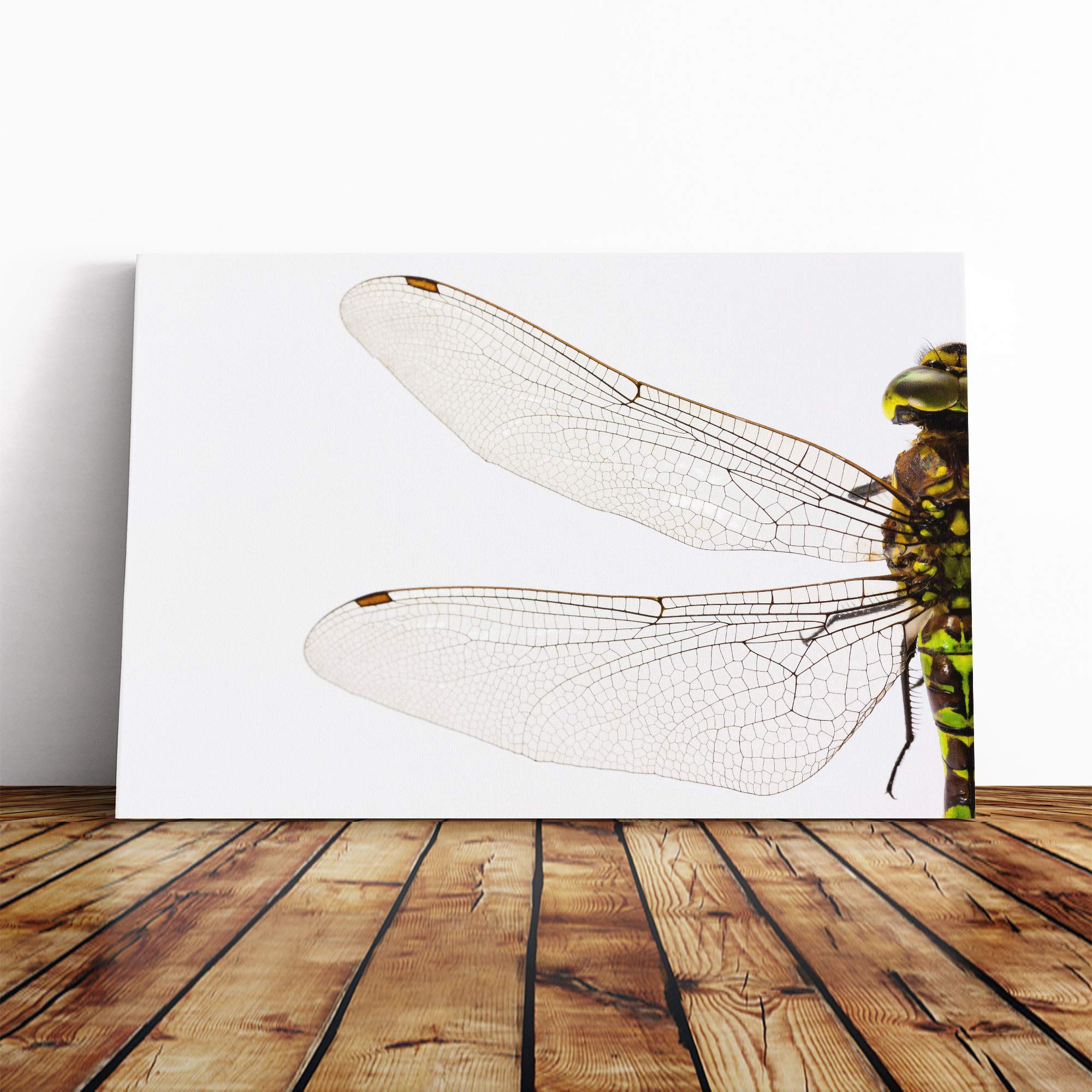 Dragonfly Insect (1) Canvas Print | Gallery Wrapped 30mm Frame Wall Art | 20x14 inches | Ready to Hang | Modern Animals Picture | Living Room Bedroom Lounge Office