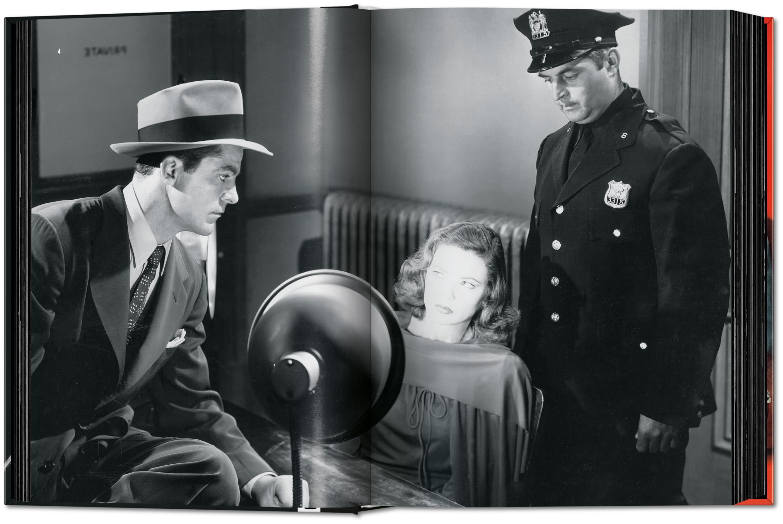 Film Noir: 100 All-Time Favorites (Sourcebook)