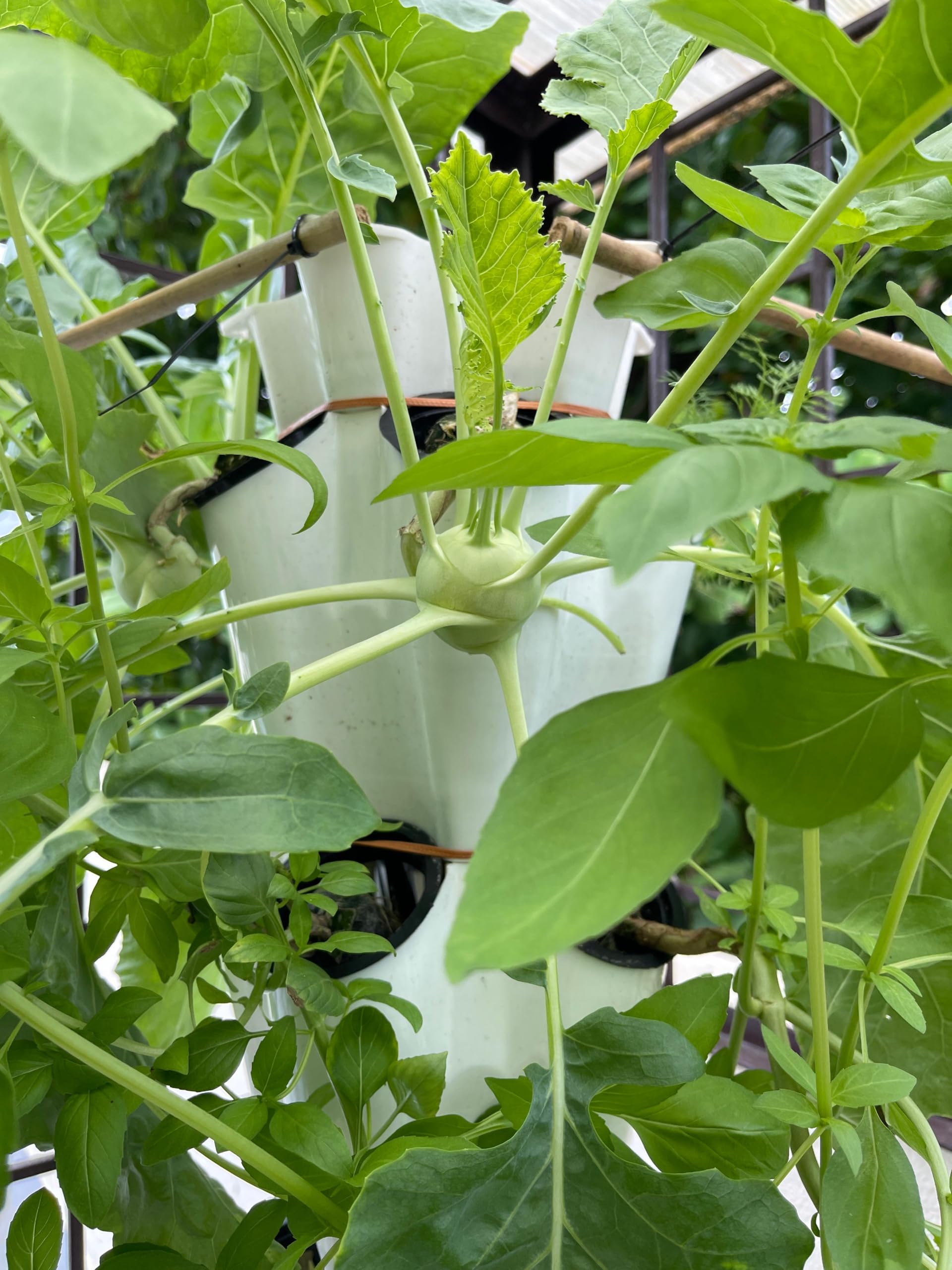 Green Warrior Aeroponics Tower - Grow Fresh Food! -5 Green Warrior Aeroponics Tower - Grow Fresh Food! -5
