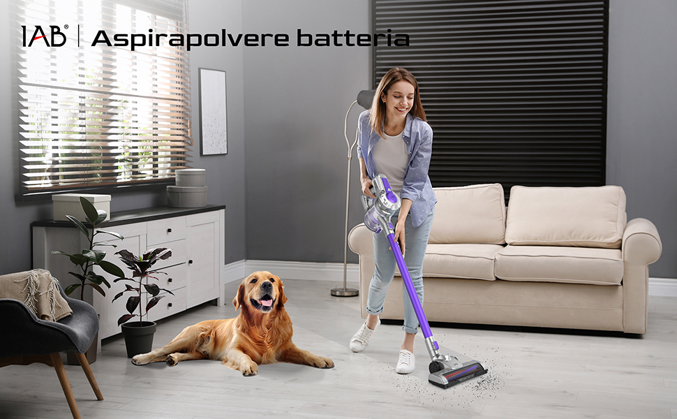 Aspirapolvere Senza Fili IAB - 160W, 25000Pa, Motore Brushless, Autonomia 40 Minuti, Leggero
