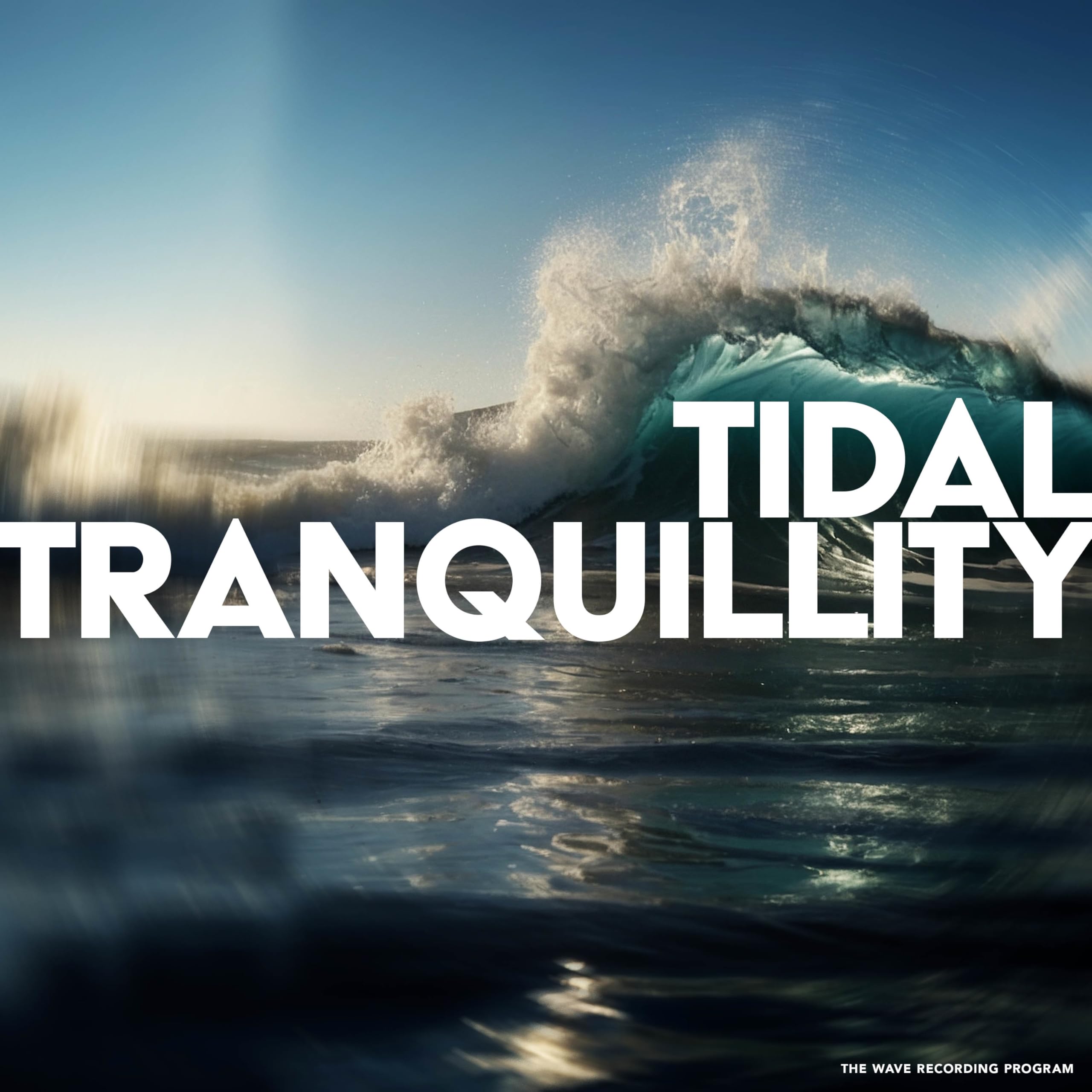 The Wave Recording Program