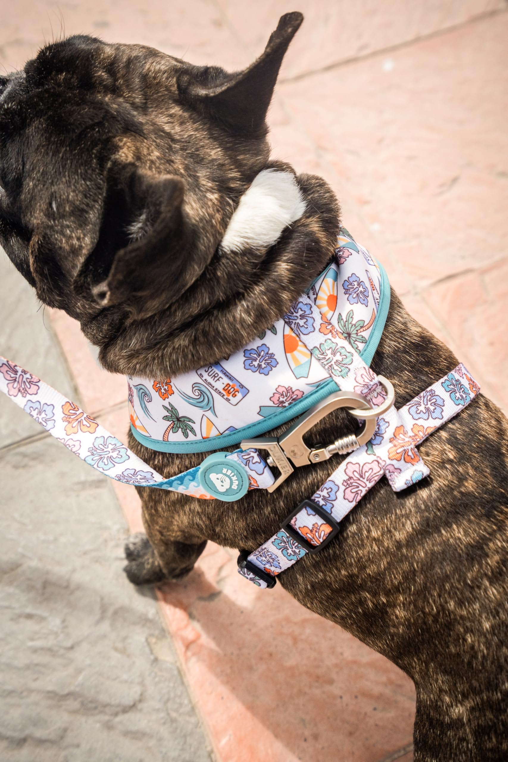 DUKIER - Long and durable dog lead with safety carabiner made of neoprene, Hawaii design, size S - Image 4