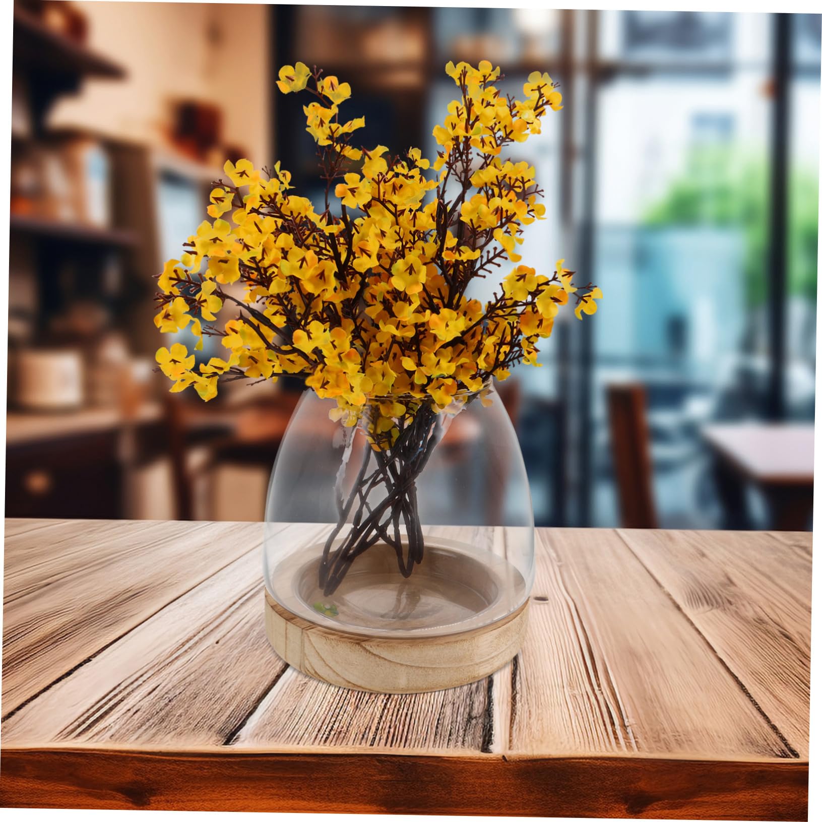 Vase Hydroponique Verre Transparent avec Base Pot Intérieur pour Propagation Eau Décor Élégant pour Table et Bureau Vase Large pour Micro-Paysage