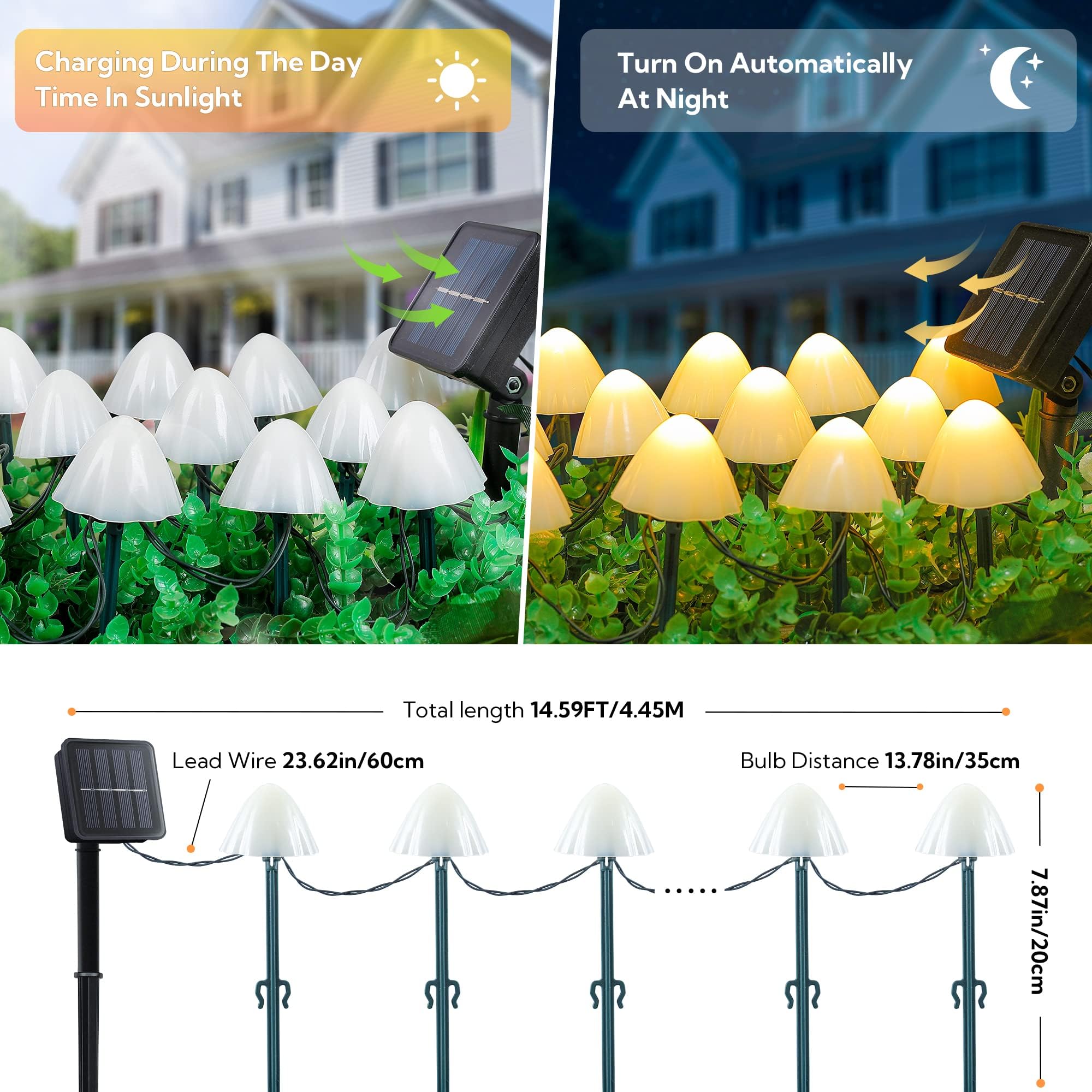 View 4