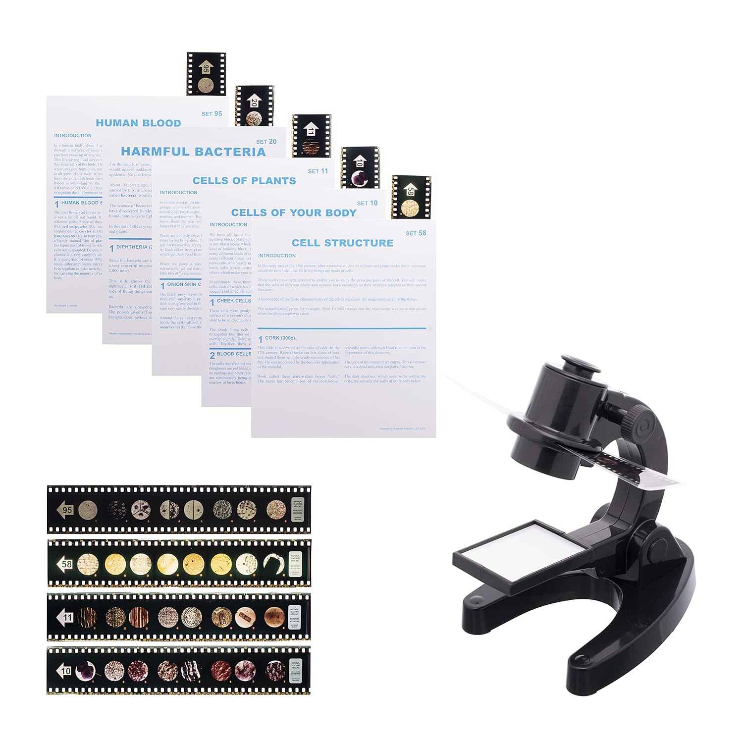 Supertek Microslide Viewer with 5 Microslides Educational Beginner