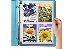 Seed Storage Organizer: The Ultimate Seed-Saving Solution