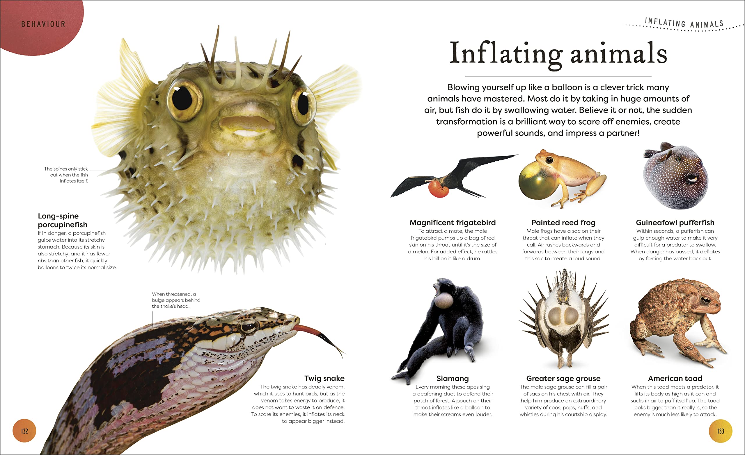 Weird and Wonderful Nature: Tales of More Than 100 Unique Animals, Plants, and Phenomena (DK Treasures)