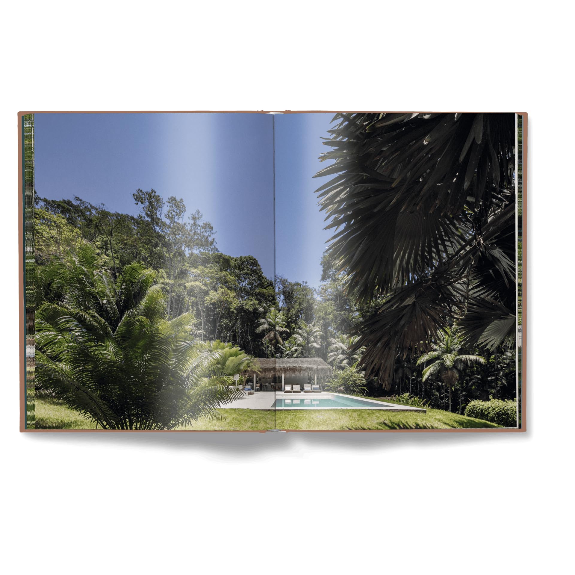 Brazil Living: The Residences and Interiors of New Tropicalism