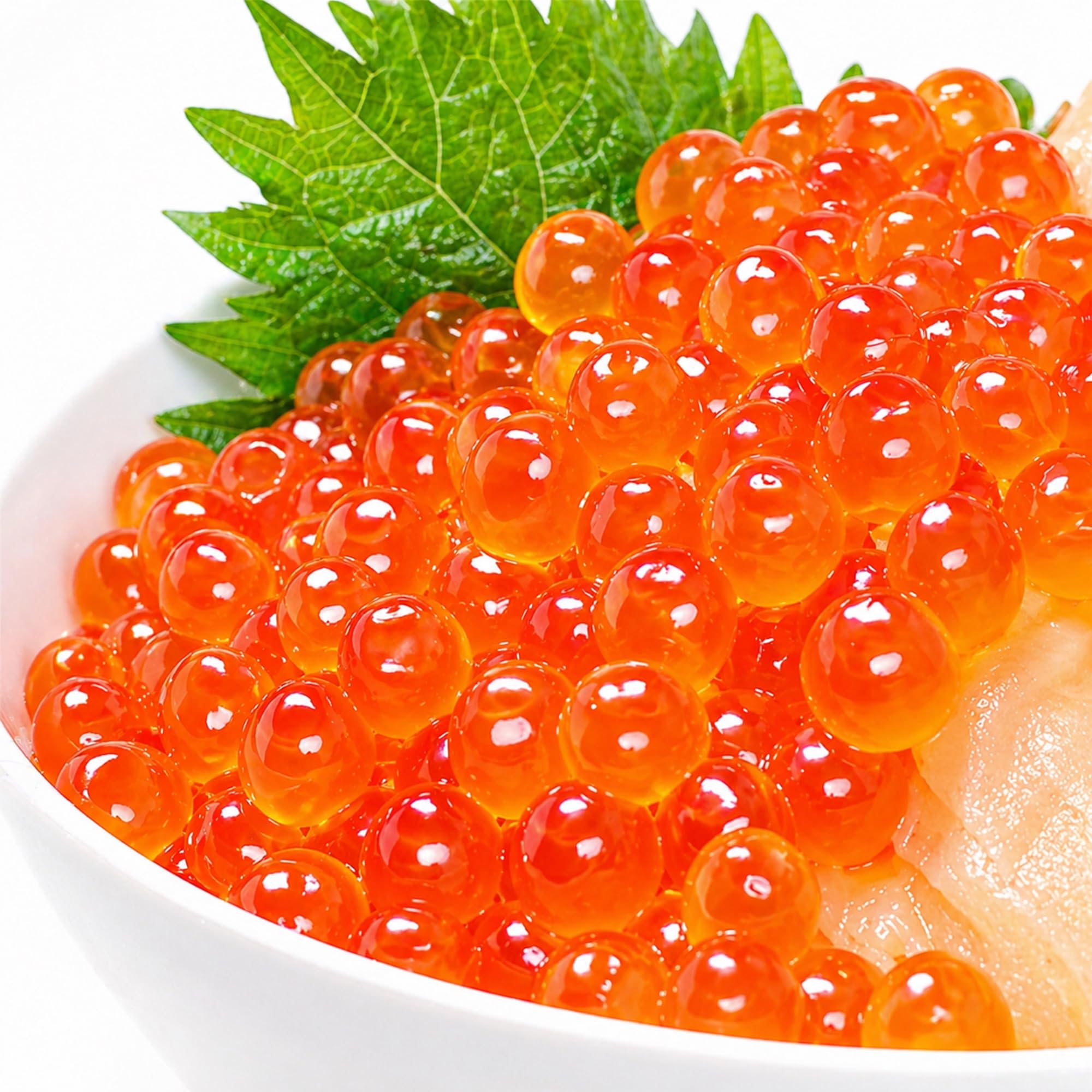 生鮮魚介類・水産加工品の商品画像