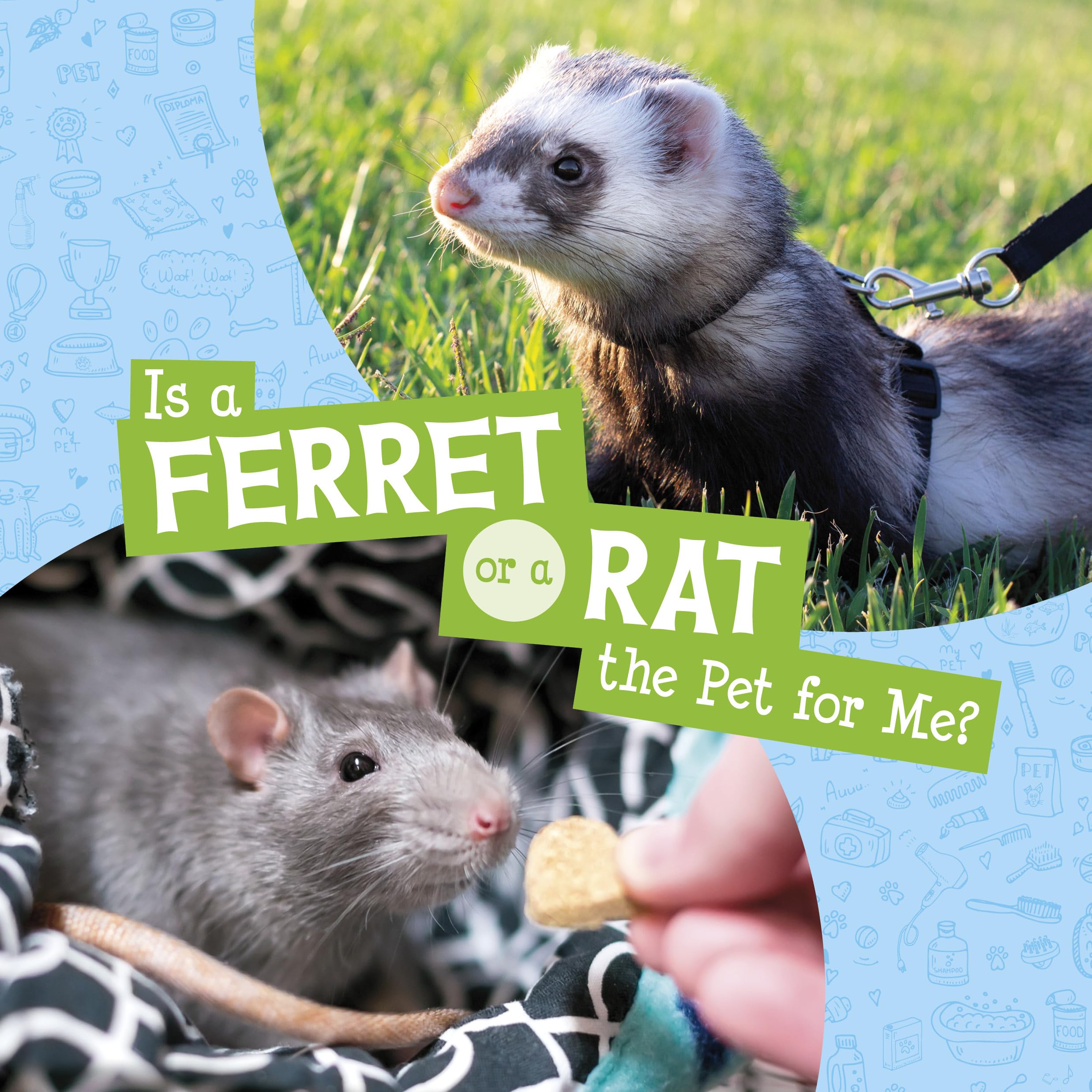 Is a Ferret or a Rat the Pet for Me? (This or That Pets)