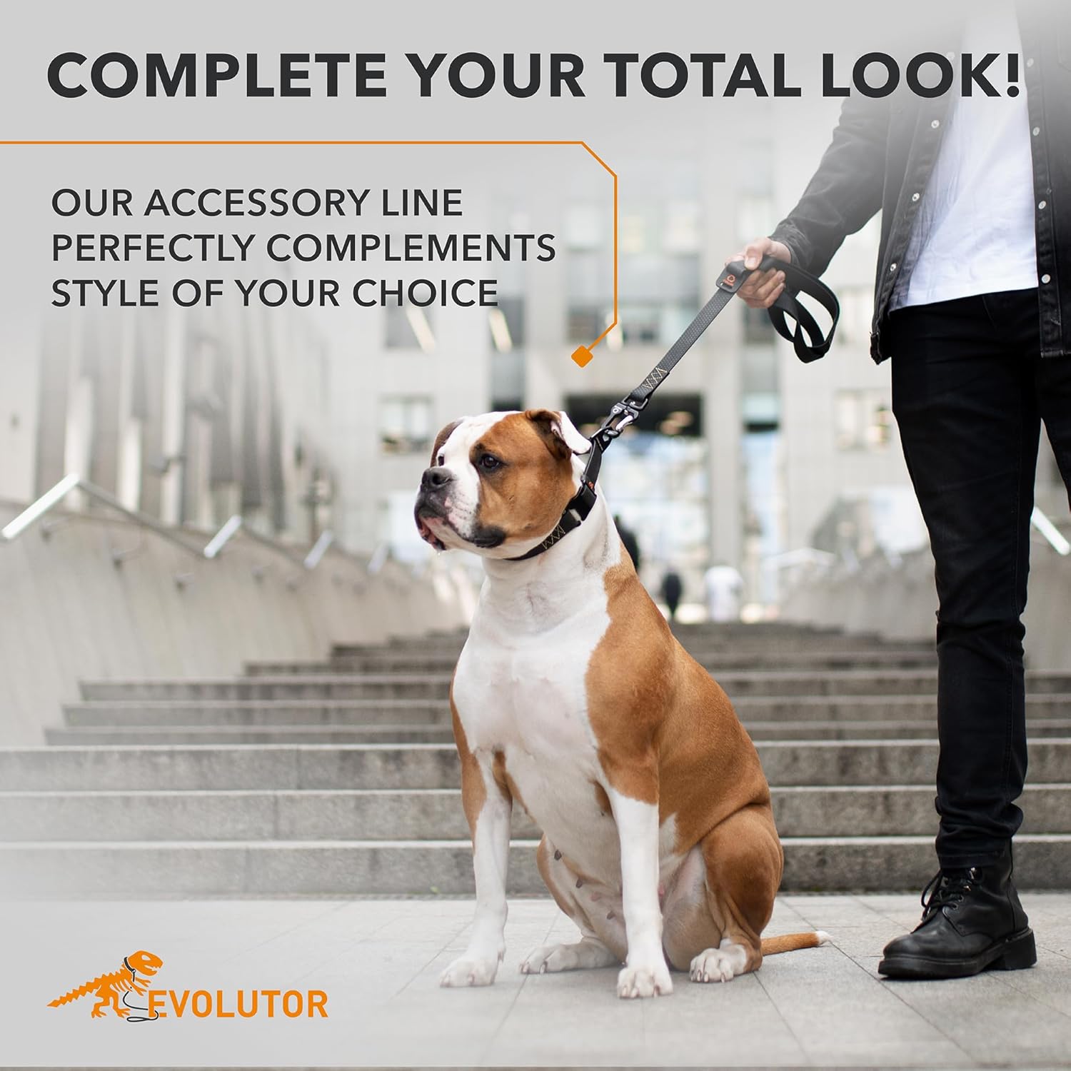 COLLAR Evolutor Extra Heavy Duty Dog Leash 4 Ft - Durable for Large, Medium and Small Dogs - Strong for Large Breeds - Walking (Black)