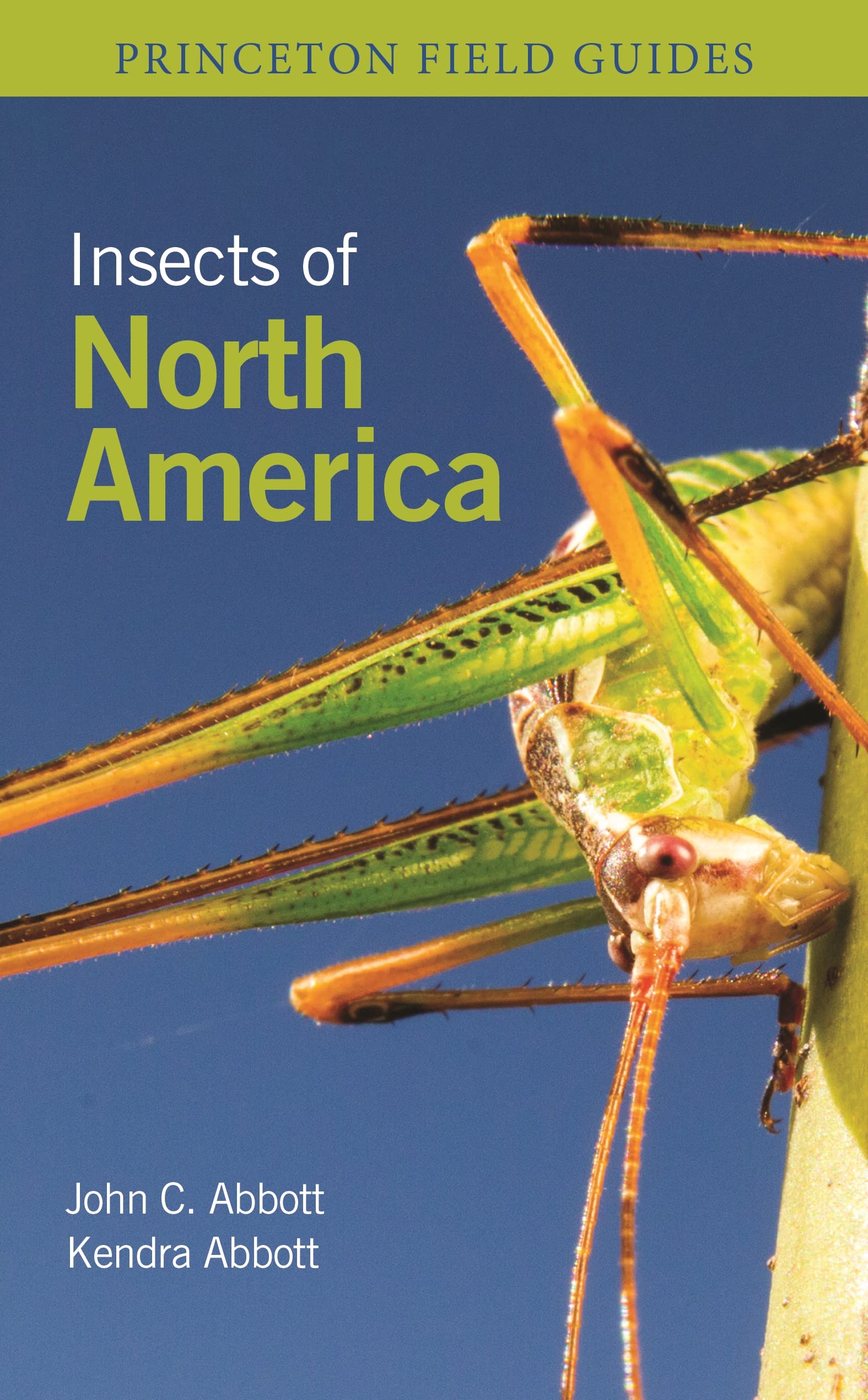 Insects of North America (Princeton Field Guides)