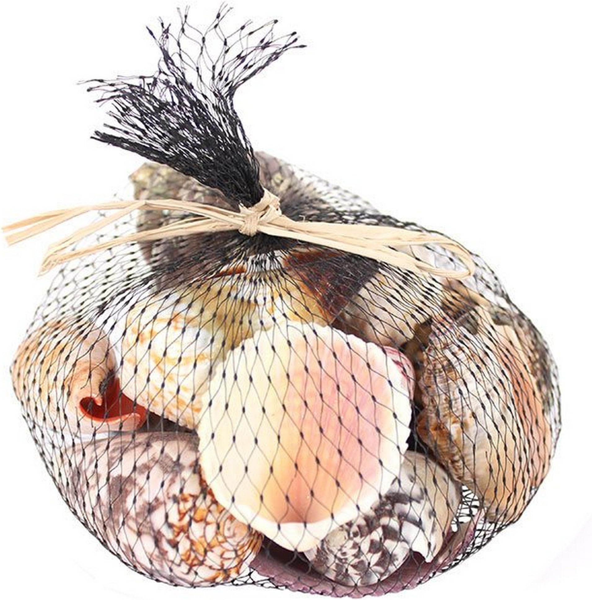 Basket of Natural Sea Shells for Home D飯r (Item Code: SR 28926)
