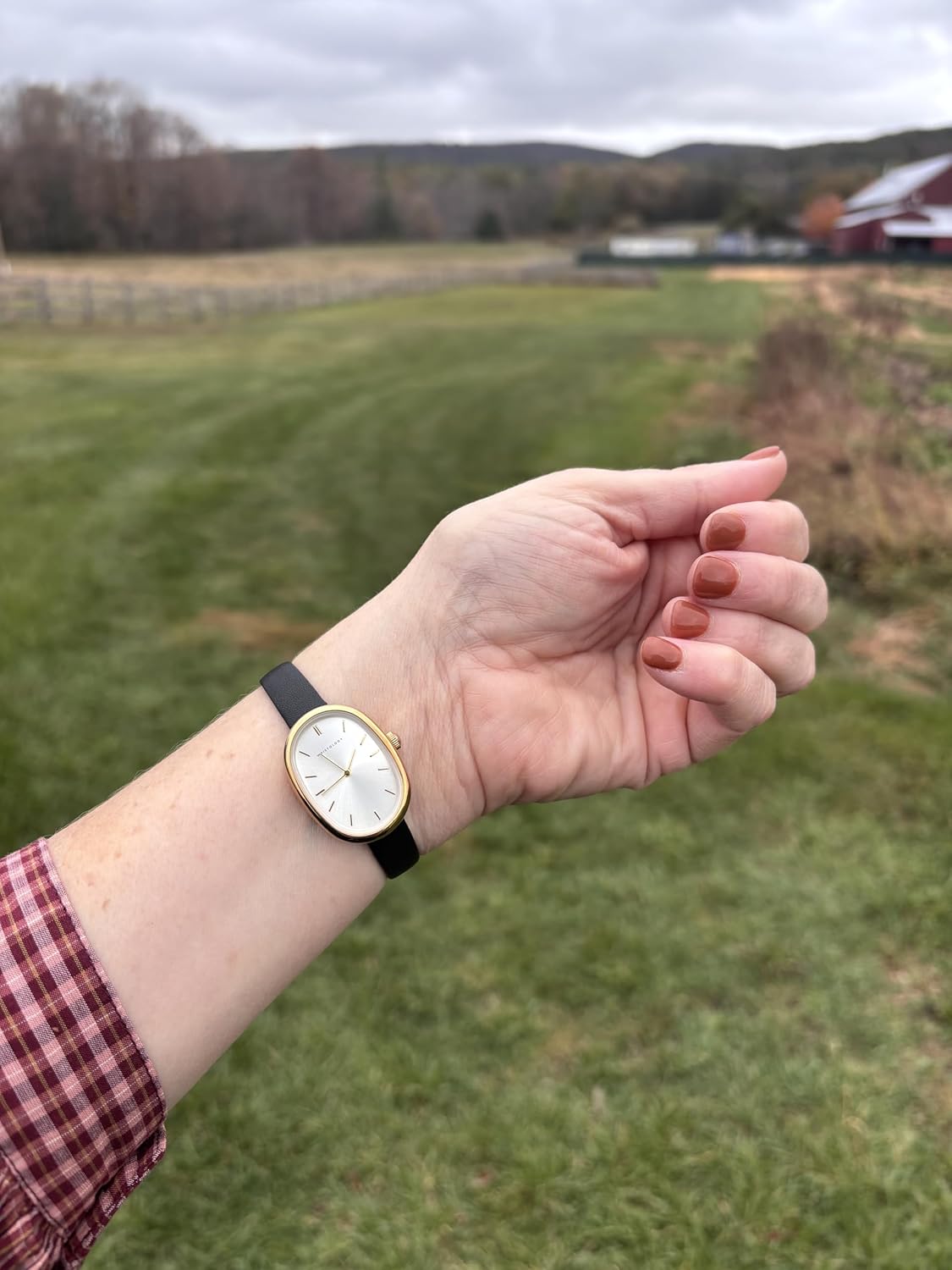 Wristology Oval Womens Watch Vintage Style Interchanageable Band Adjustable Easy Read Analog - Image 4