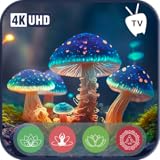 魅惑的なキノコの木立-魅惑的なフルートと静かな自然のメロディー|火災テレビやタブレットで安らかな睡眠、リラクゼーション、静けさのためのパーフェッ