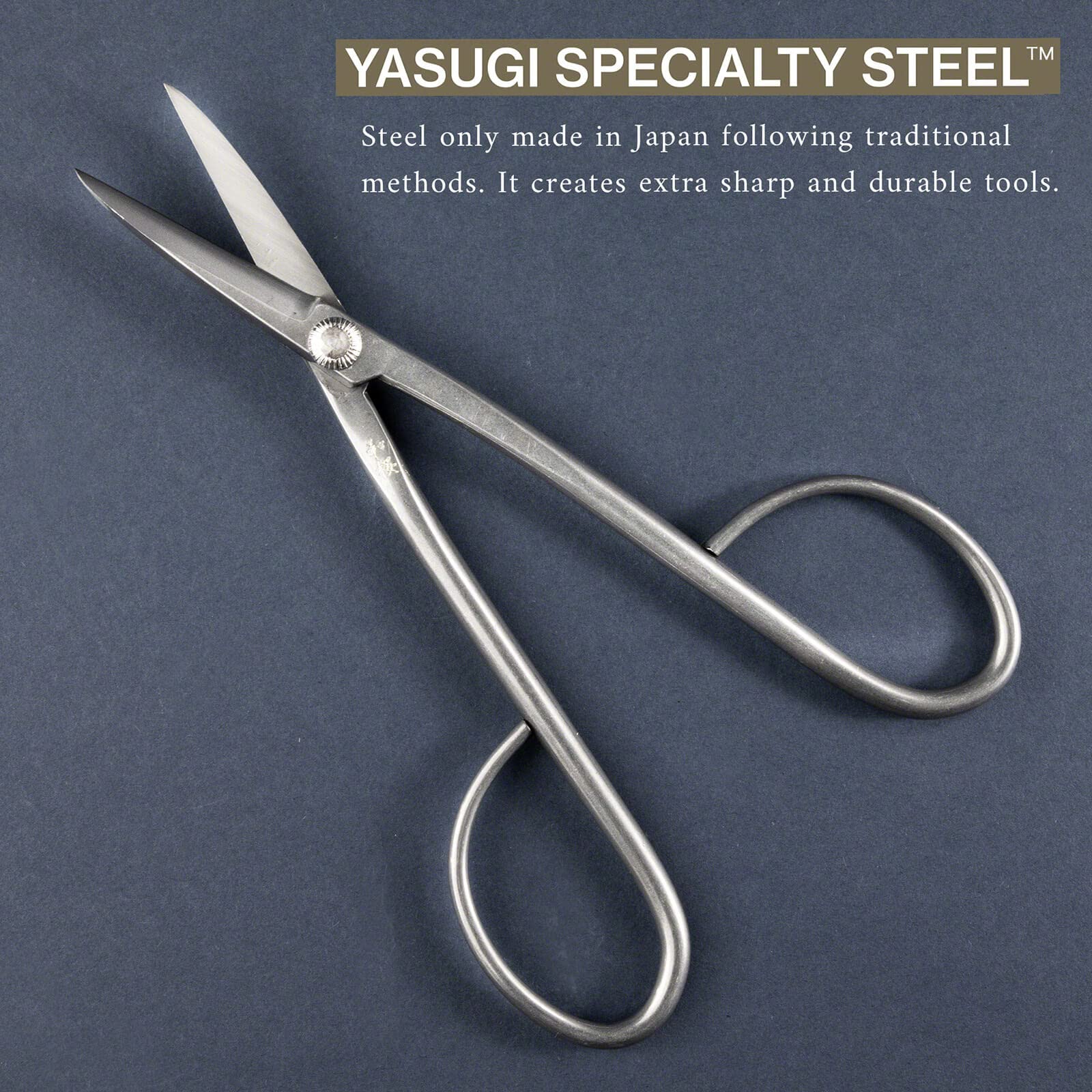Wazakura Japan Forbici Twig per Bonsai in Acciaio Inossidabile Yasugi (210mm) Fatte in Giappone - Attrezzi da giardinaggio giapponesi