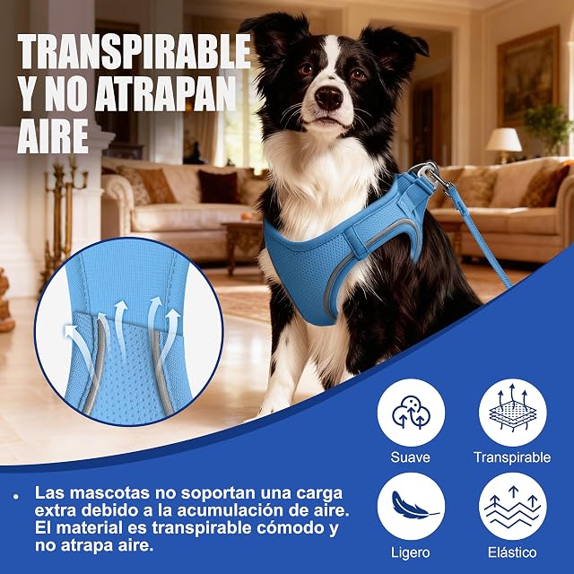 Foto 3 de 7 de Arnés para Gatos con Correa 255cm L (Pecho 45-55cm) Azul