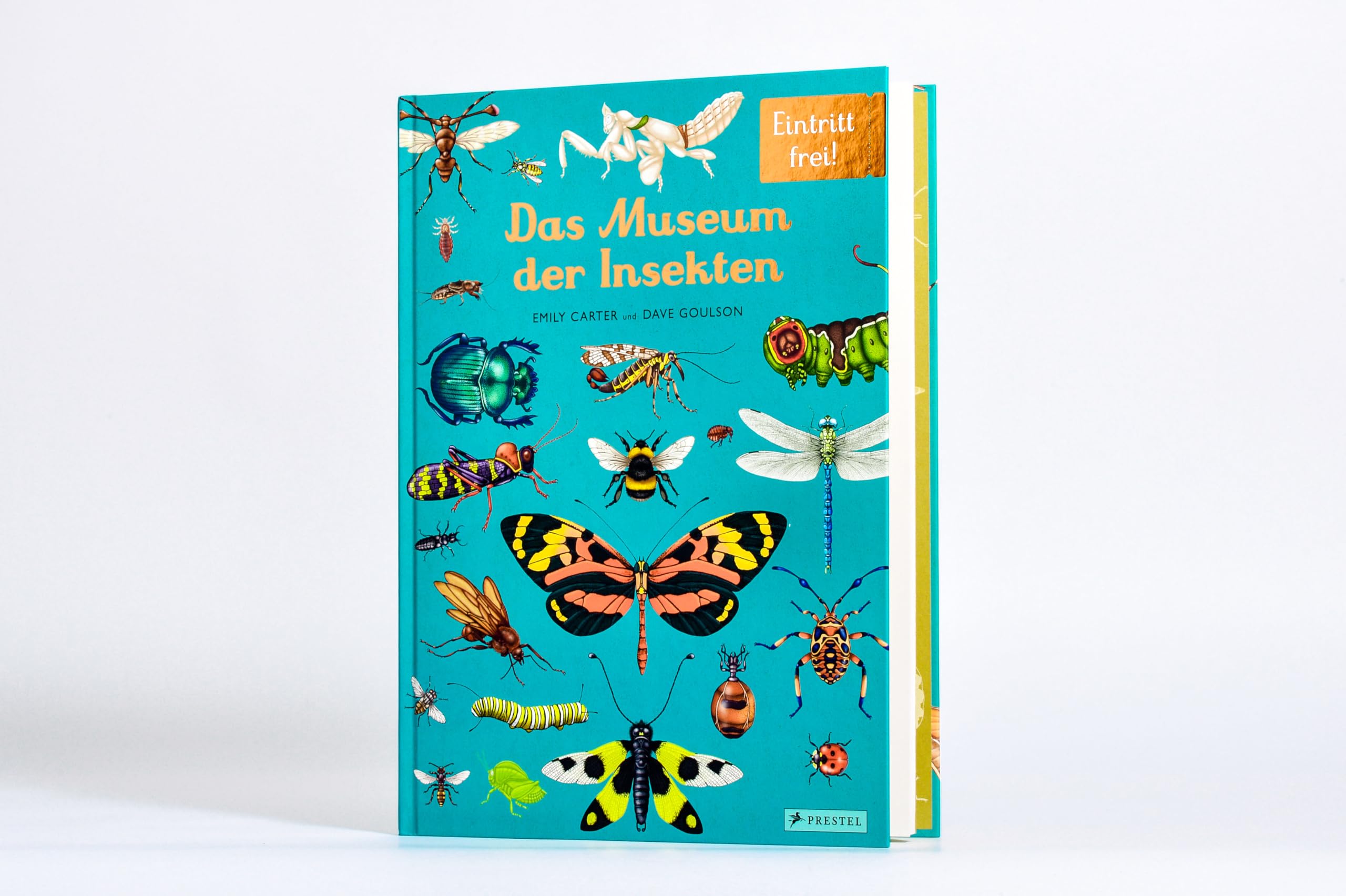 Das Museum der Insekten: Eintritt frei! - Sachbilderbuch im Großformat für Kinder ab 8 Jahren mit faszinierenden Illustrationen von Emily Carter: 16