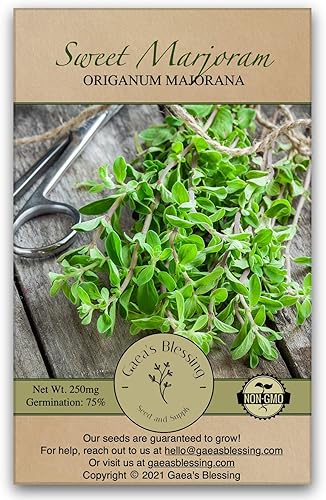 Gaea's Blessing Semillas  Semillas de mejorana  reliquia dulce de mejorana  Semillas sin OMG con instrucciones fáciles de seguir  Tasa de