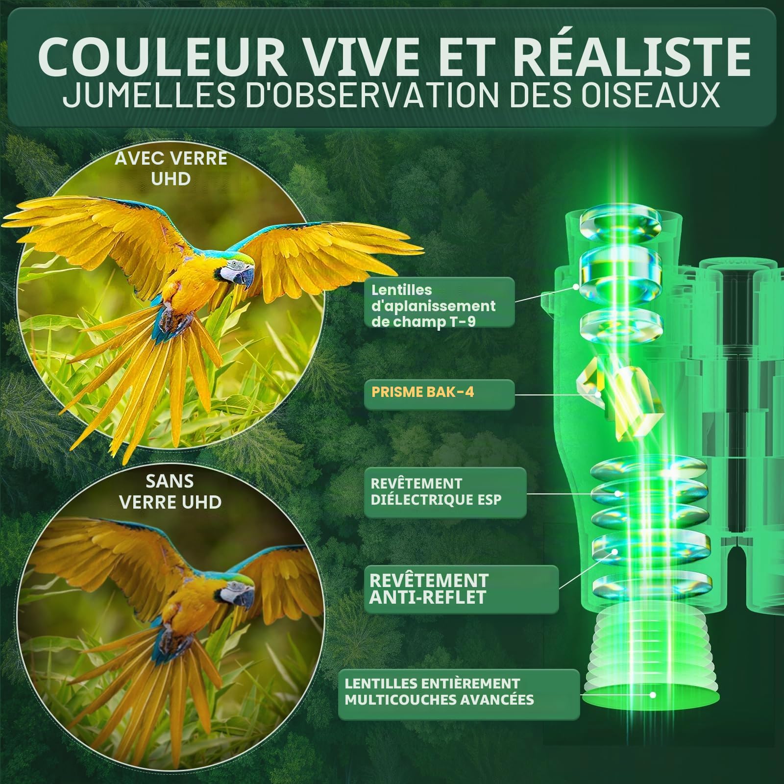 Aurosports Jumelles compactes 16x32 pour Adultes Enfants – Petites jumeau Haute Puissance avec Vision Faible – Jumelles Adultes Puissance avec Prisme BAK4 et lentilles FMC Mise au Point Facile Légères