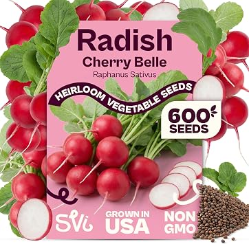 SVI 600 Cherry Belle Radish Seeds Raphanus Sativus Cherry Belle Seed Packets, Red Radish with Mild Crisp Flesh, Non GMO Seed - Heirloom Vegetable Seeds for Outdoor & Indoor Garden, Containers