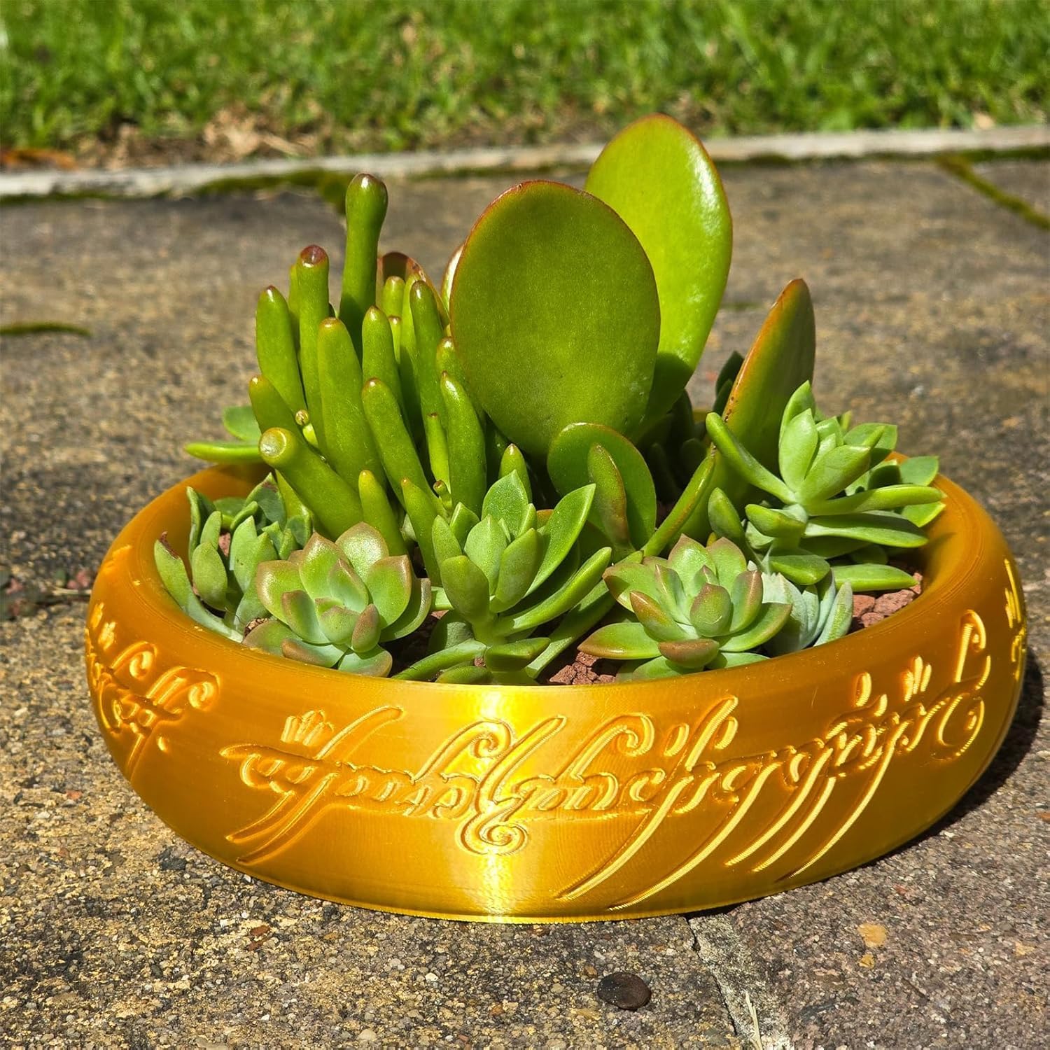 One Ring Succulent Planter Decor, One Ring Cacti & Bonsai Planter & Catchall, Unique Ring Jar - Gift for The Ring Fans, Inspired by for Ring Fans