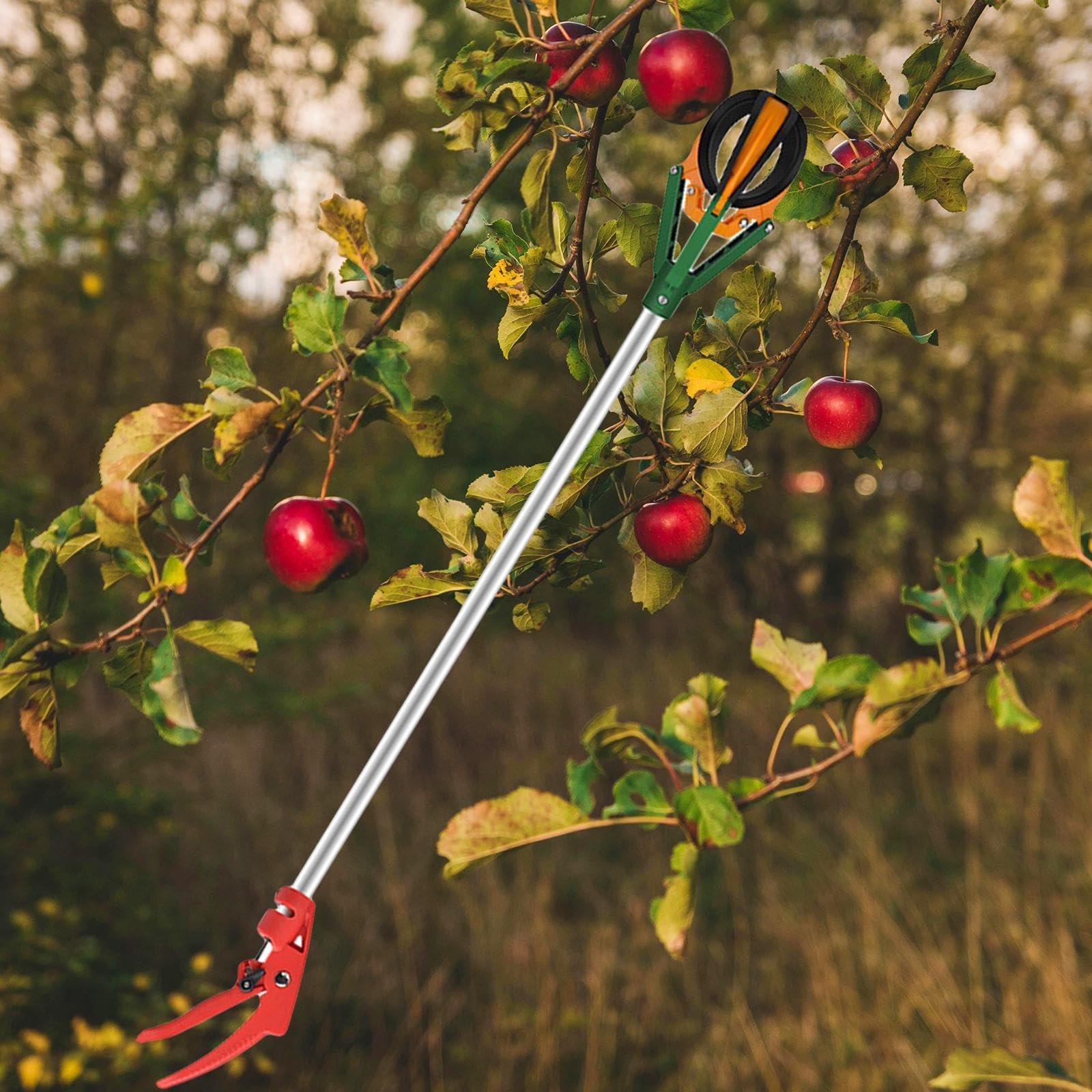 Cueilleur de Fruits pour Pommes Trois Griffes Caoutchouc Outil Ramassage Polyvalent Manche Télescopique Acier au Carbone Poignée Nylon Pratique