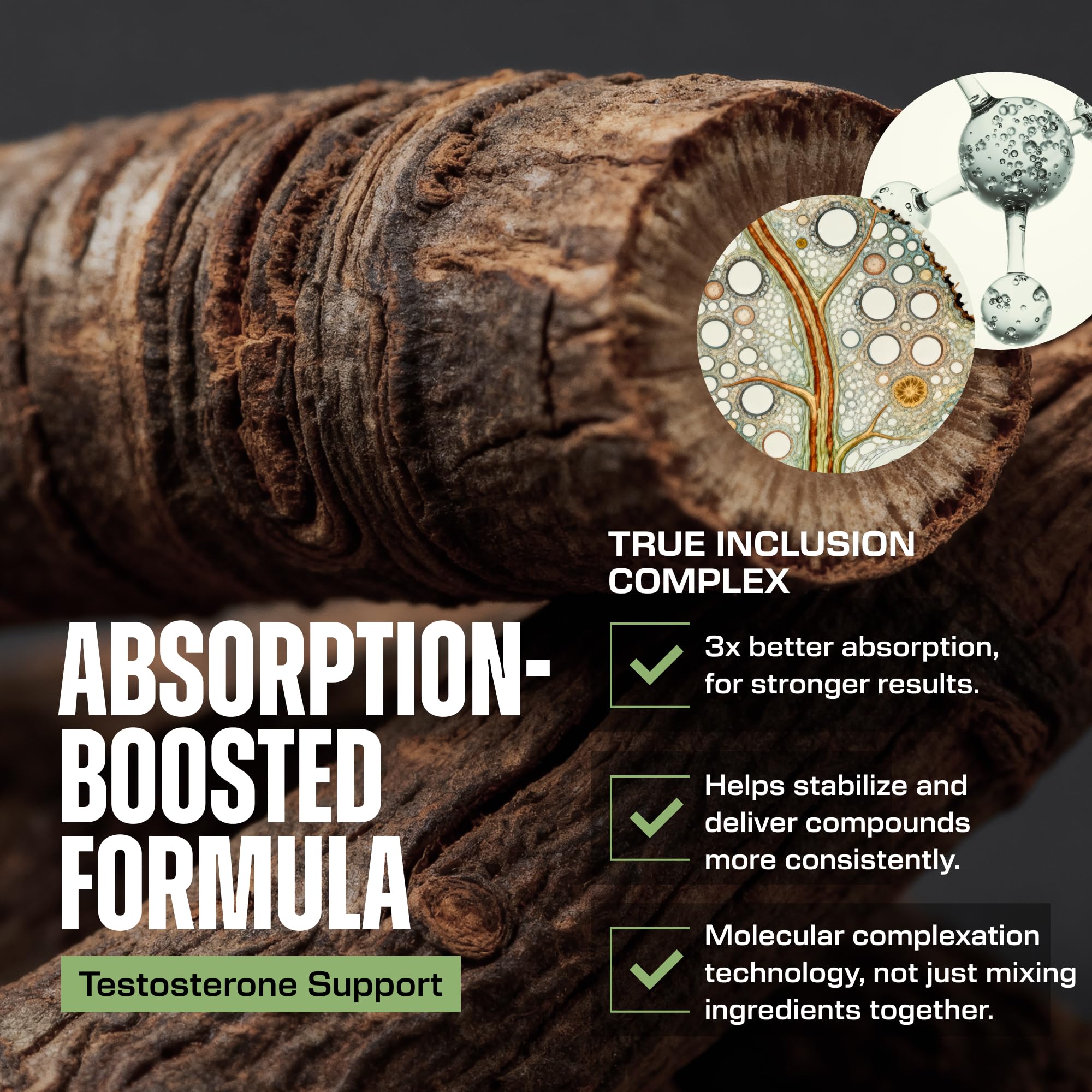 Earth Elixir Turkesterone & Tongkat Ali for Men – Natural Testosterone Support, 2-in-1 High Potency Turkesterone Supplement for Men & Women - Made in USA & 3rd Party Tested — Amazon image 4