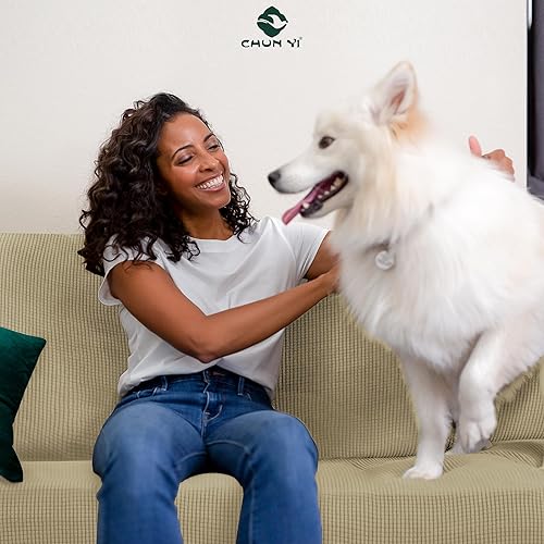 Vista 65 de CHUN YI - Funda elástica para sofá (1 unidad)