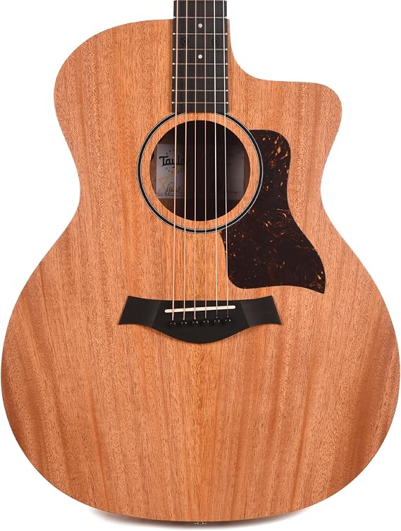 Taylor 24ce Grand Auditorium Acoustic-electric Guitar - Natural