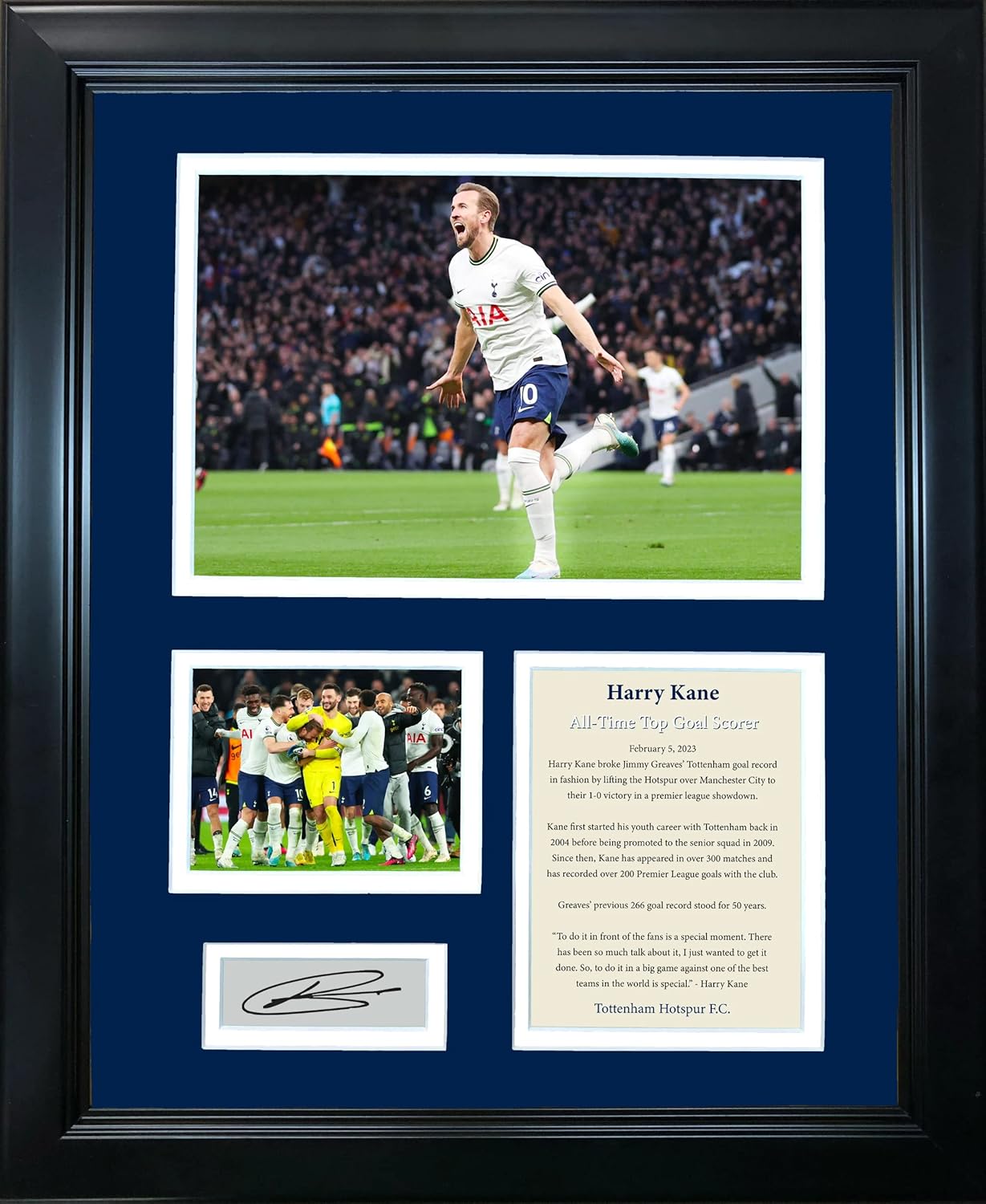 HOFSM.COM ホール・オブ・フェーム スポーツ 記念品 額入り ハリーケイン ゴールレコード ファクシミリ レーザー刻印 シグ