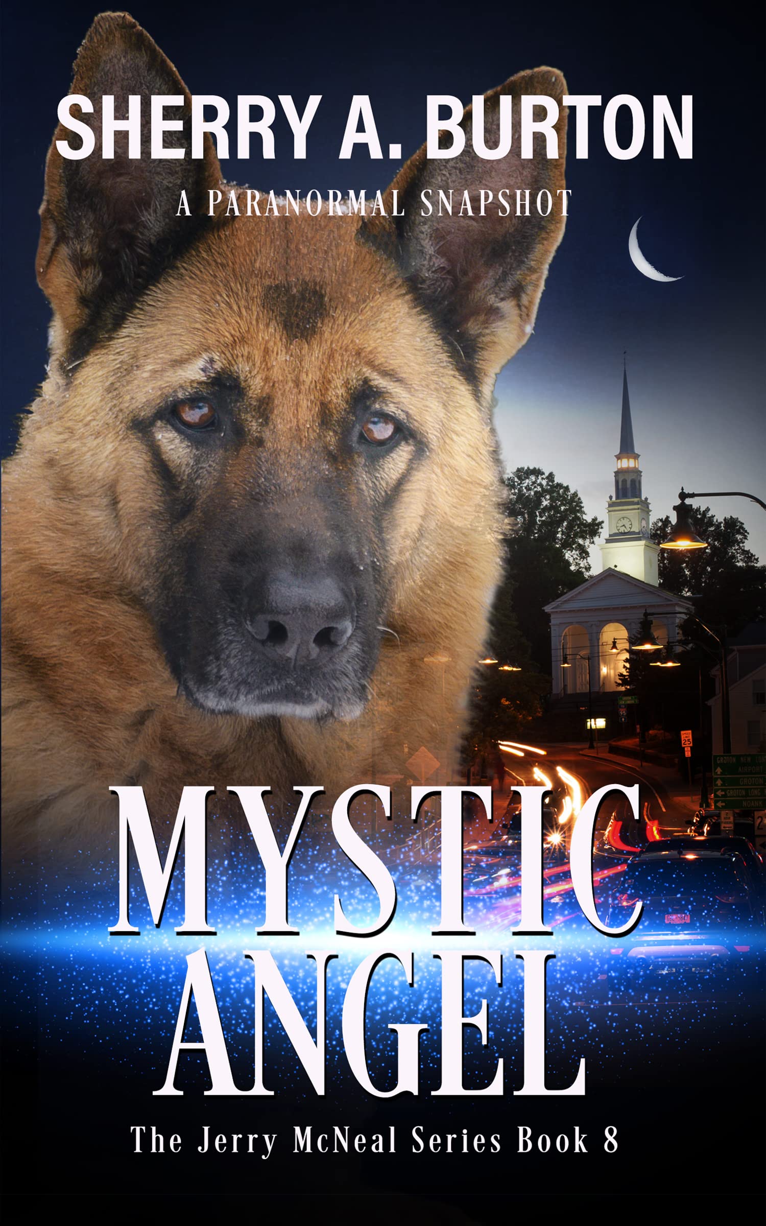 Mystic Angel: Book 8 in The Jerry McNeal Series (A Paranormal Snapshot)