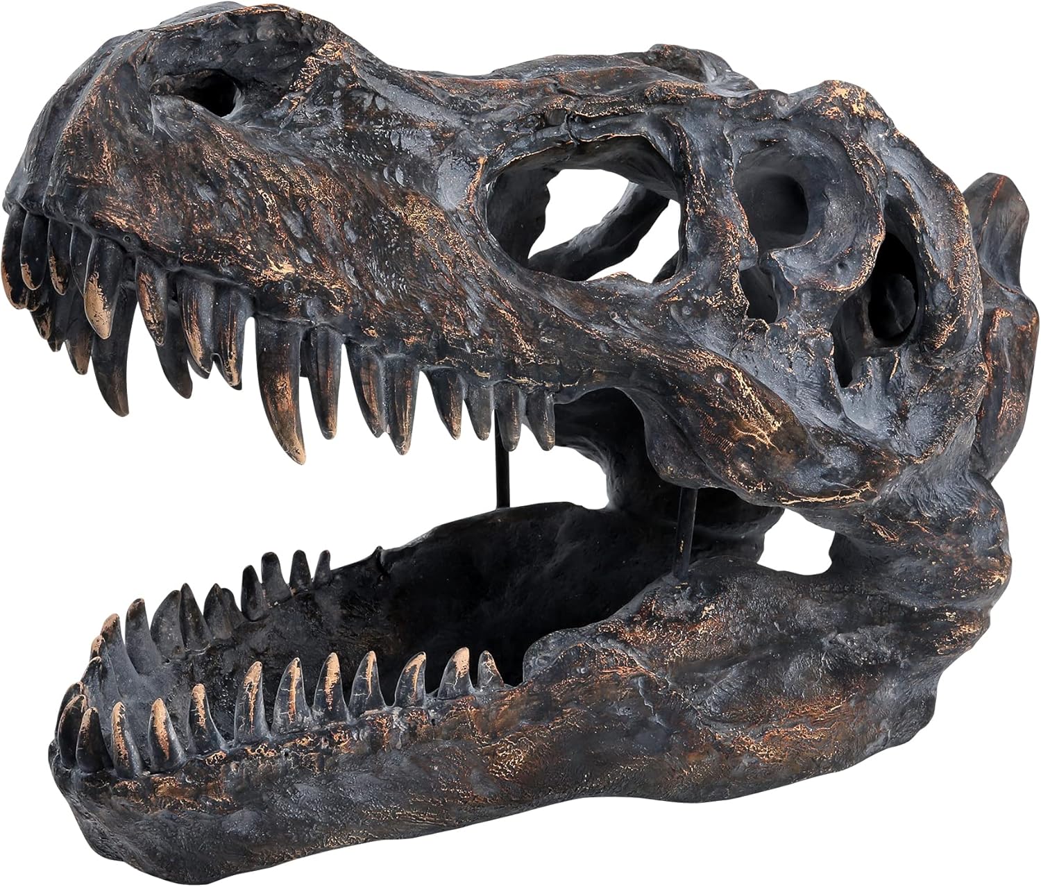 T-rex Skull Wall-Mounted Dinosaur Head Trophy Faux Taxidermy Wall Statue Fossil Figurine Wall Decor Tyrannosaurus Rex Skull Sculpture for Man Cave 15.5''Long