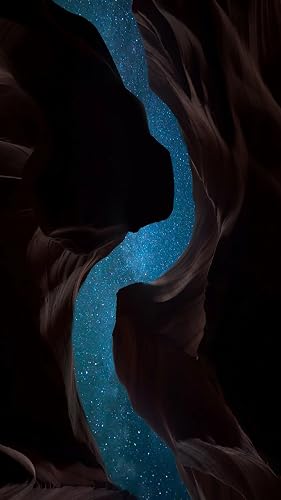 Nature & Animal Wallpapers – vue 7