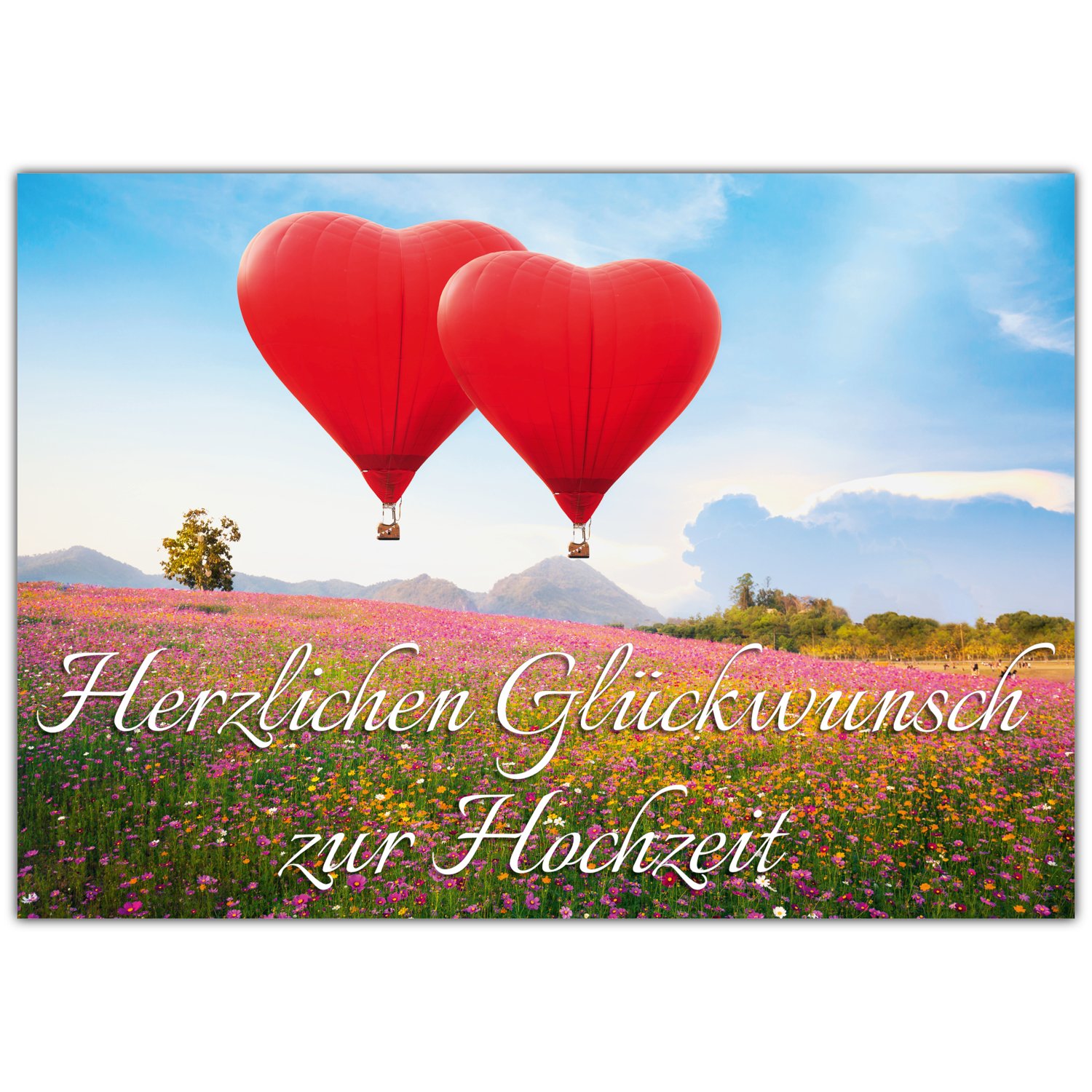 XXL Glückwunschkarte Zur Hochzeit Mit Marienkäfer-Motiv – Lustige & Elegante Klappkarte In A4 Mit Umschlag