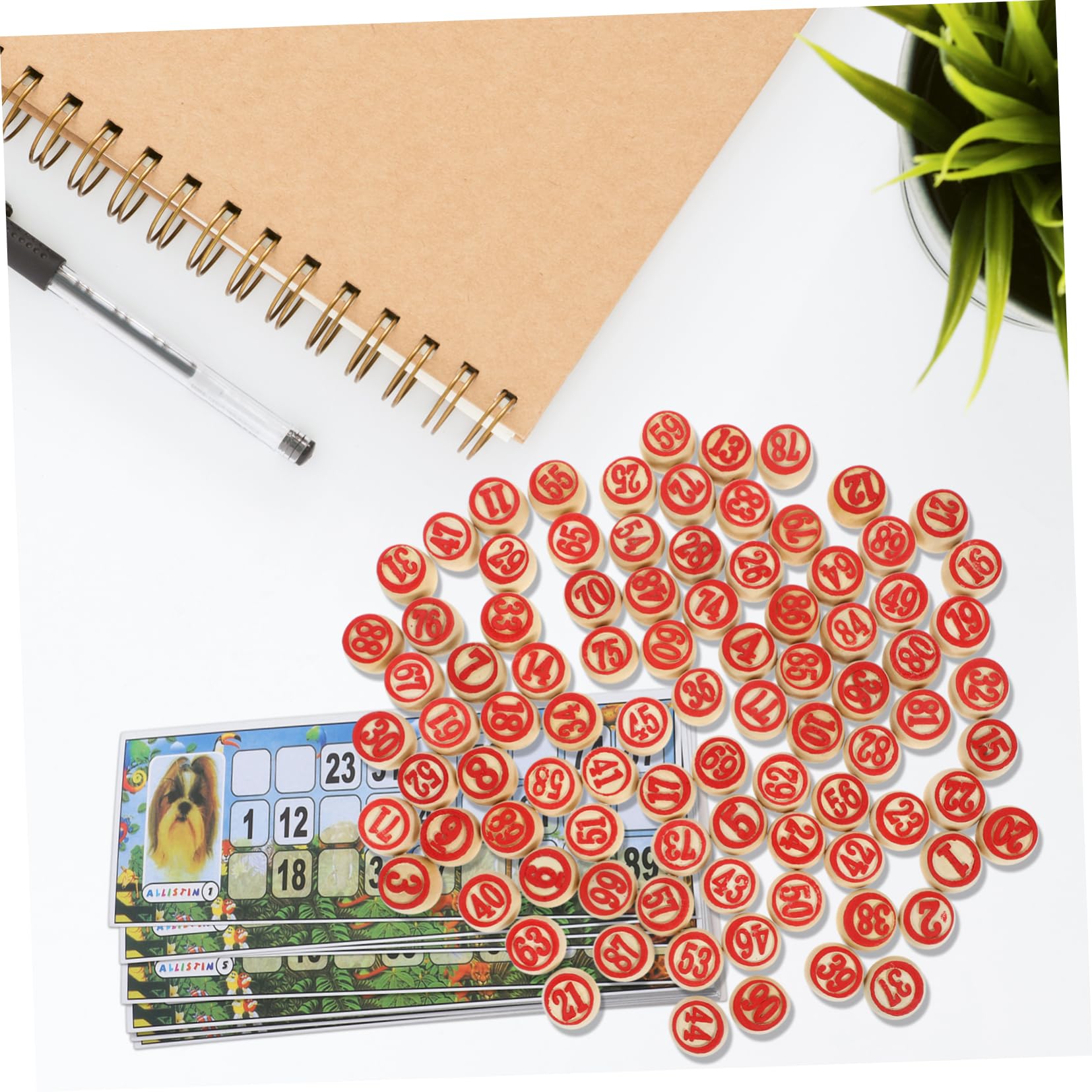 Gioco Numerico in Legno Set 1 Lotto Russo per Adulti