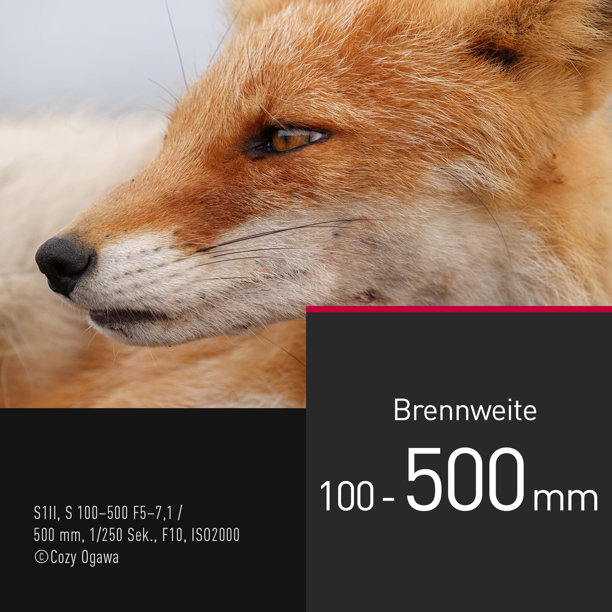 Panasonic LUMIX S-R100500E 100-500 mm F5-7.1 O.I.S. L-Mount Objektiv, Vollformat-Telezoom, 0,8 m Naheinstellgrenze, anpassbarer Fokusring, wetterfest, Schwarz