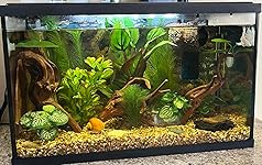 Review Image by Victor and Jennifer Victor and Jennifer